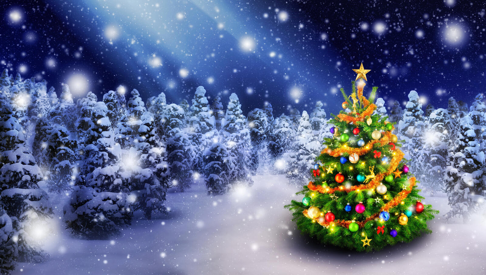 Wallpapers new year wallpapers christmas background christmas tree on the desktop