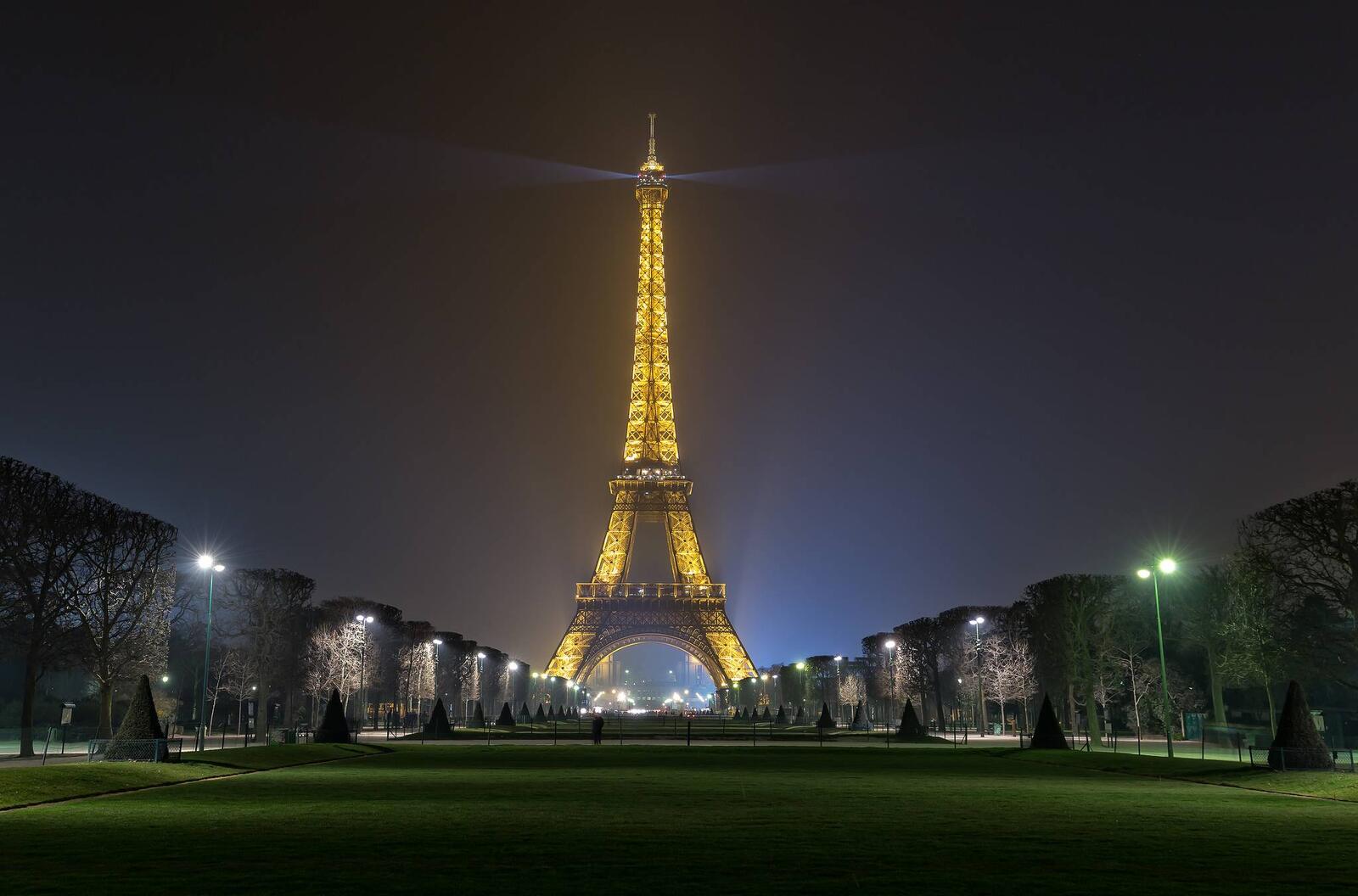 Обои Париж город зеленая трава на рабочий стол