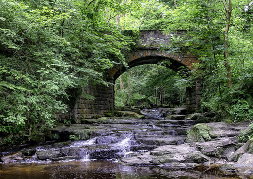 мост лес ручей