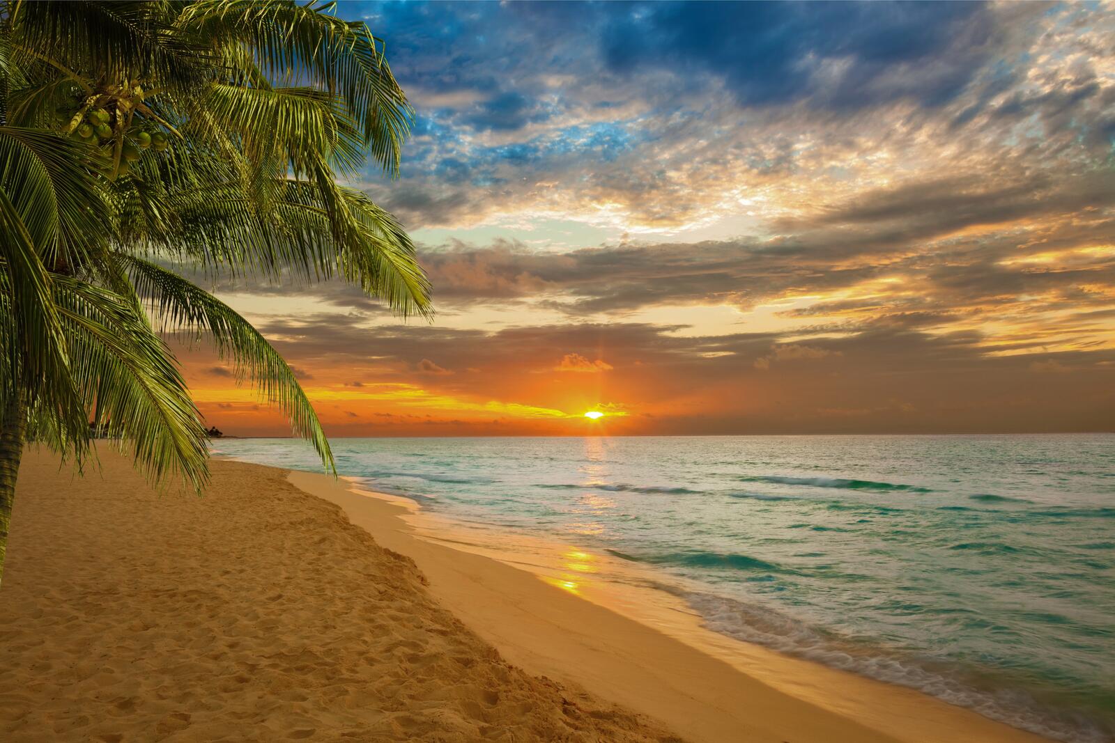 Wallpapers sunset beach ocean on the desktop
