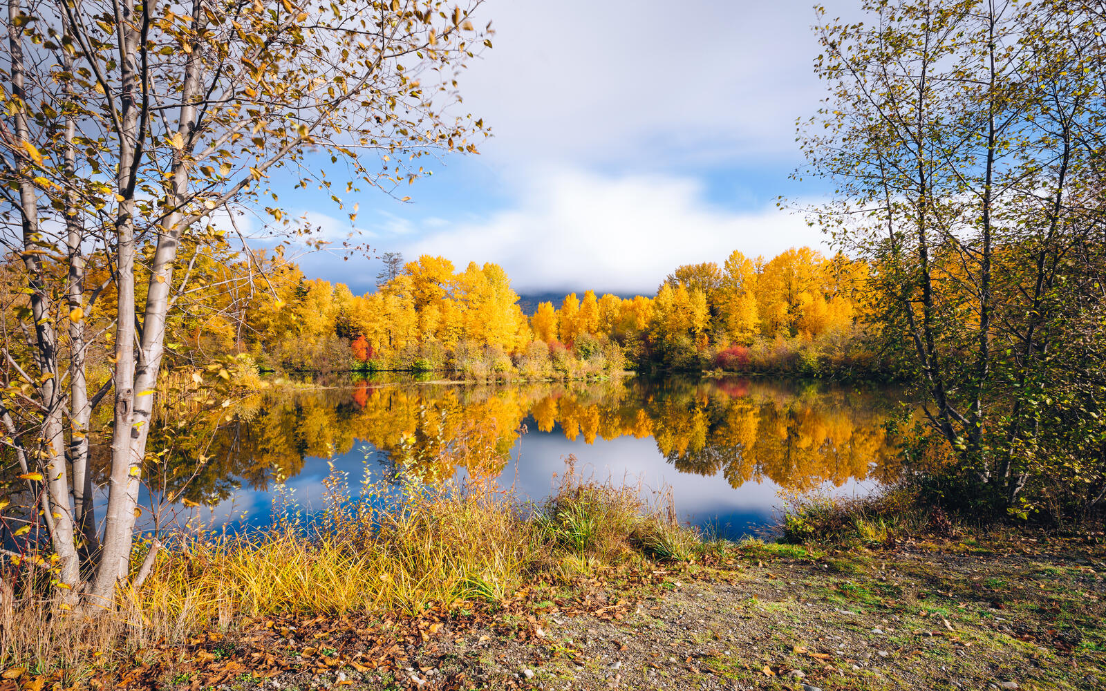 Wallpapers lake autumn forest landscapes on the desktop