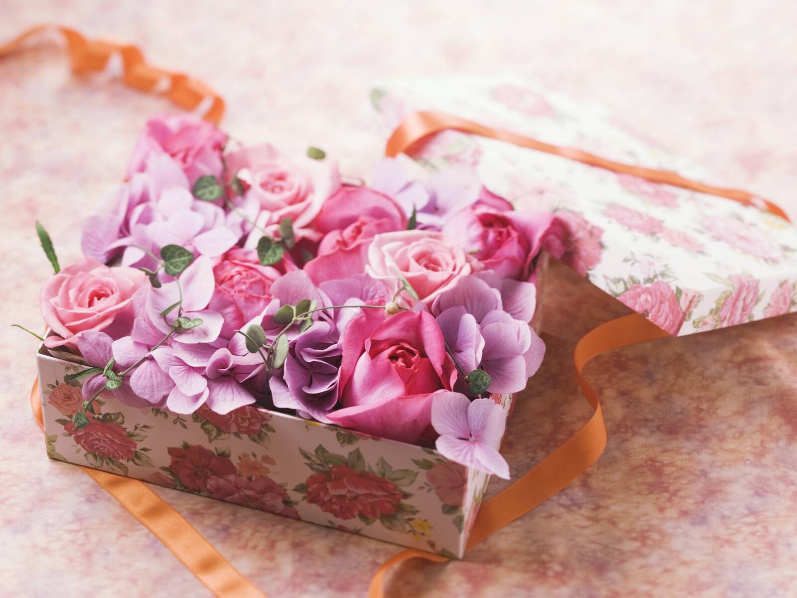 Обои цветы розы коробка на рабочий стол