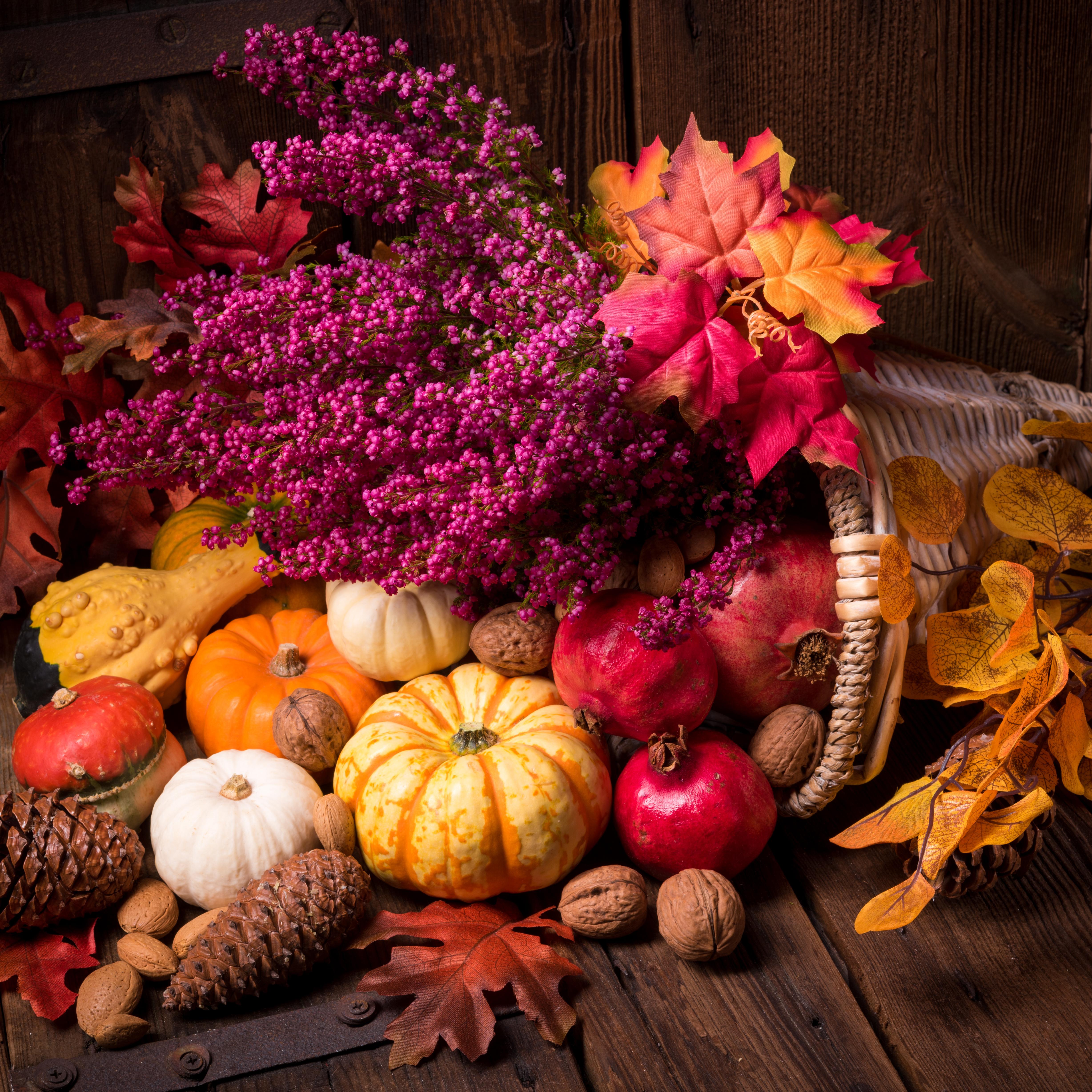 桌面上的壁纸秋叶 螺母 水果和蔬菜的秋季成分