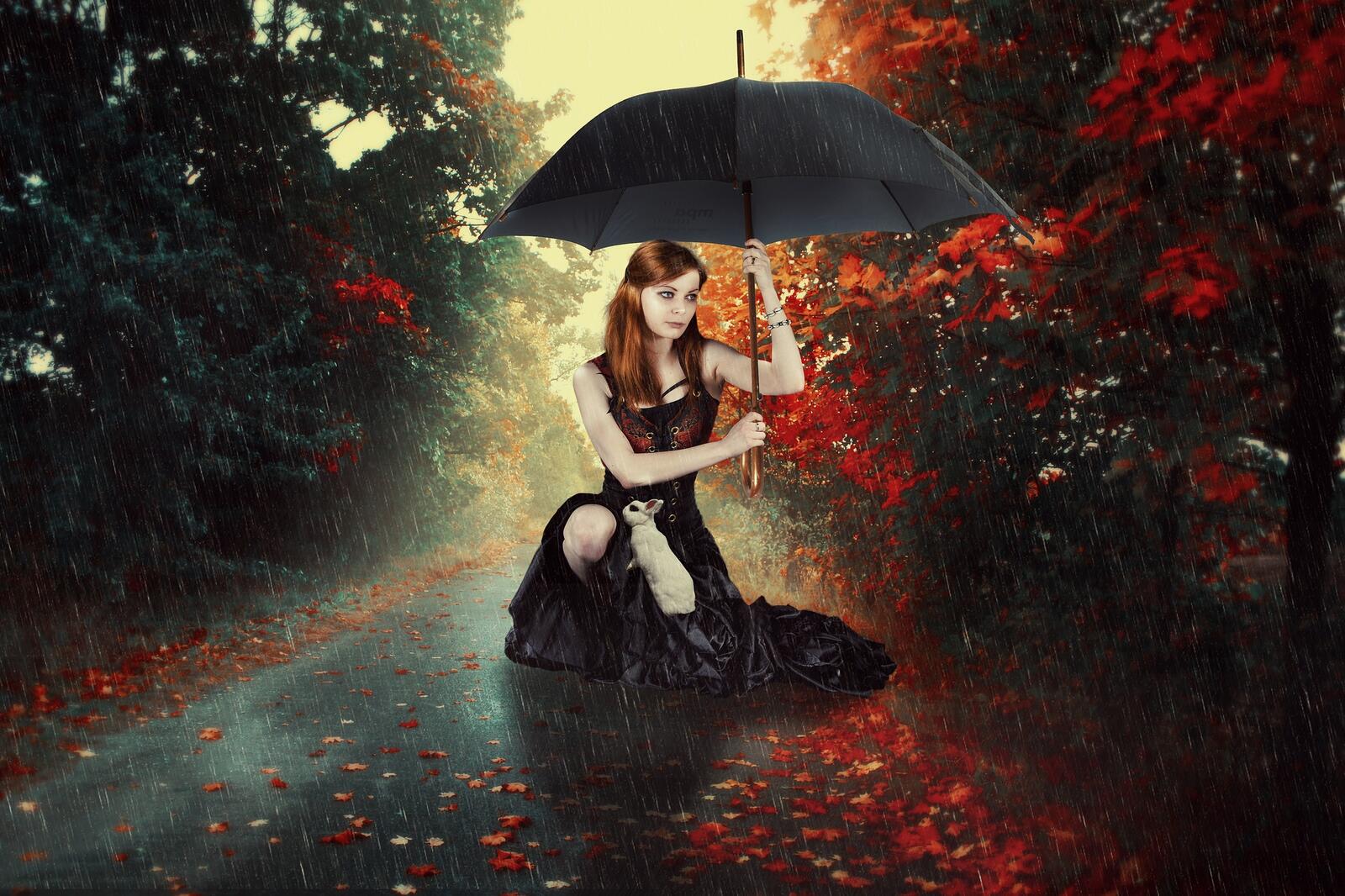 桌面上的壁纸雨伞下的女孩 女孩 秋季
