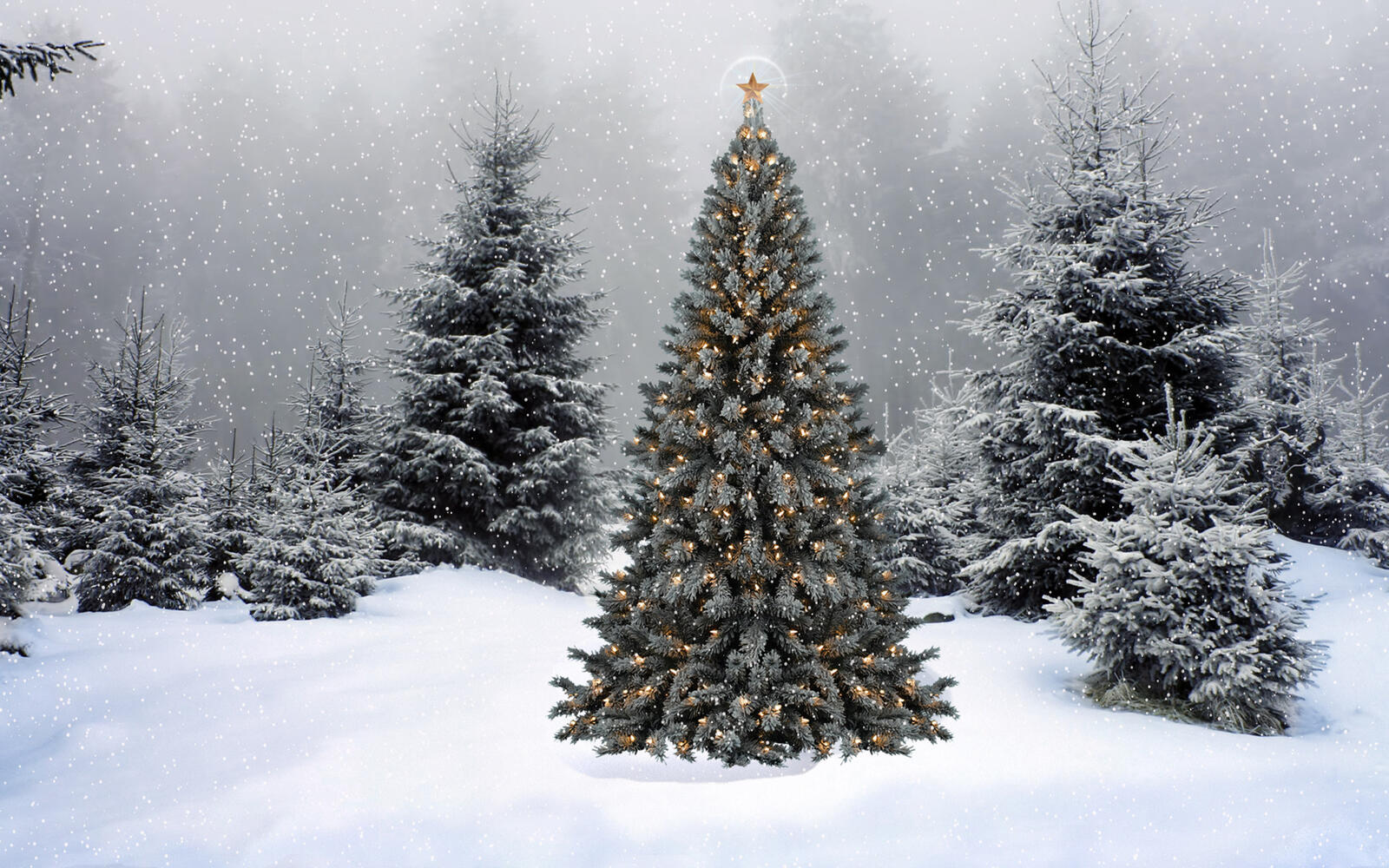 Wallpapers Christmas tree in garlands Christmas tree snow on the desktop