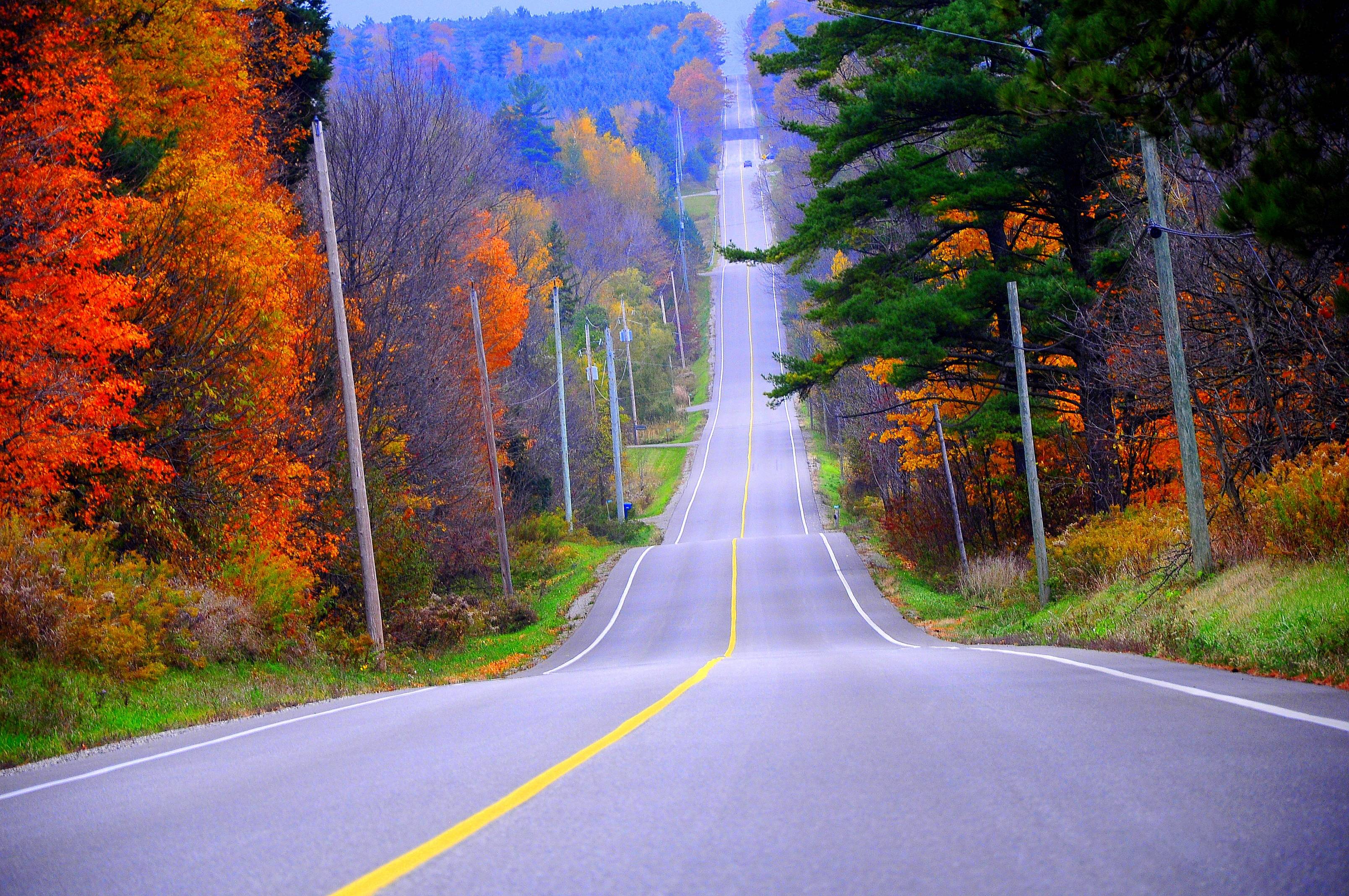 Wallpapers autumn road forest trail on the desktop