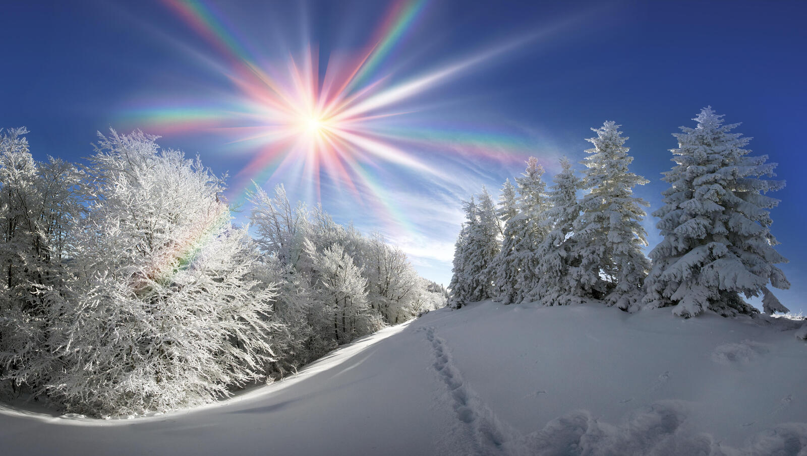 Обои пейзажи зима солнечные лучи на рабочий стол