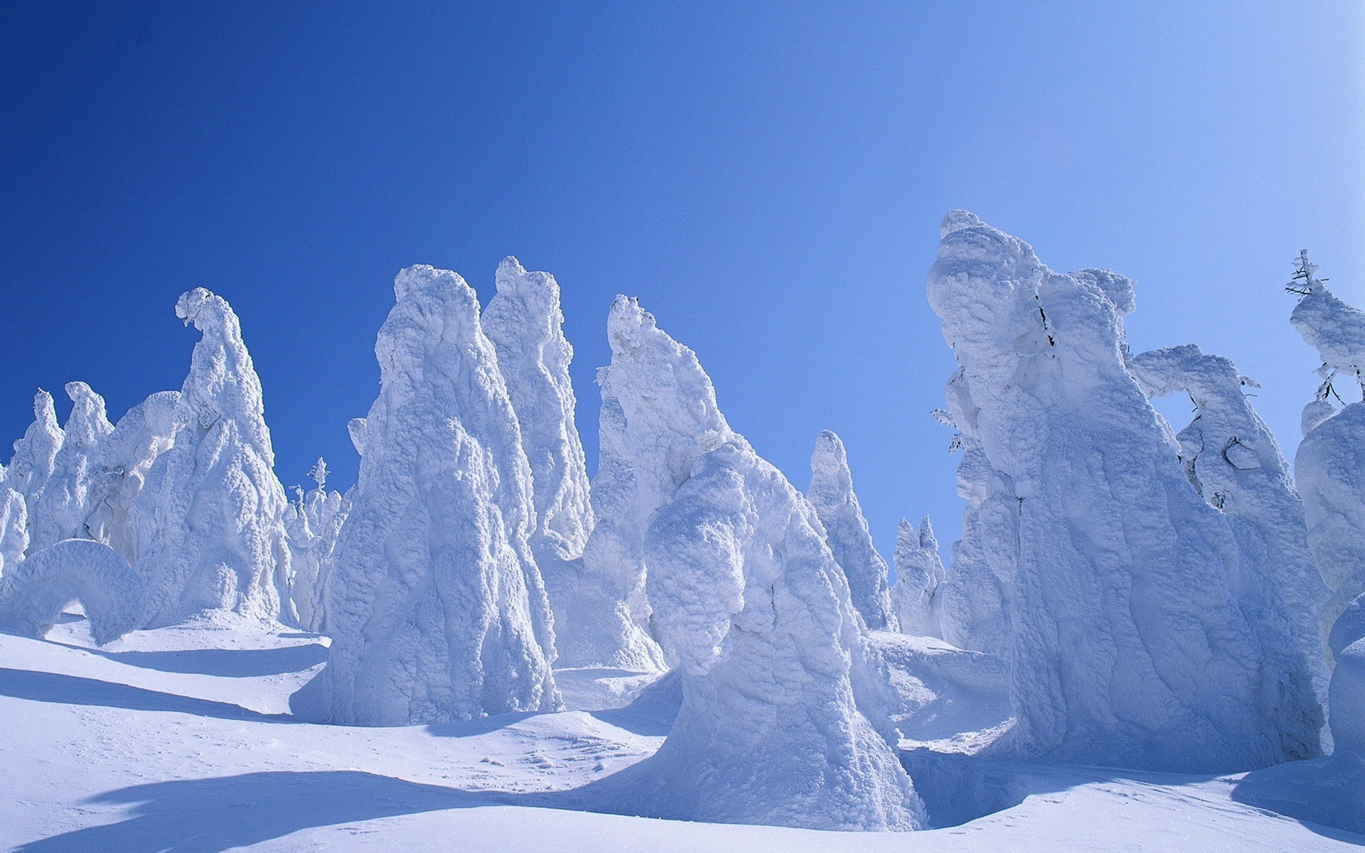 Обои статуи зима деревья на рабочий стол