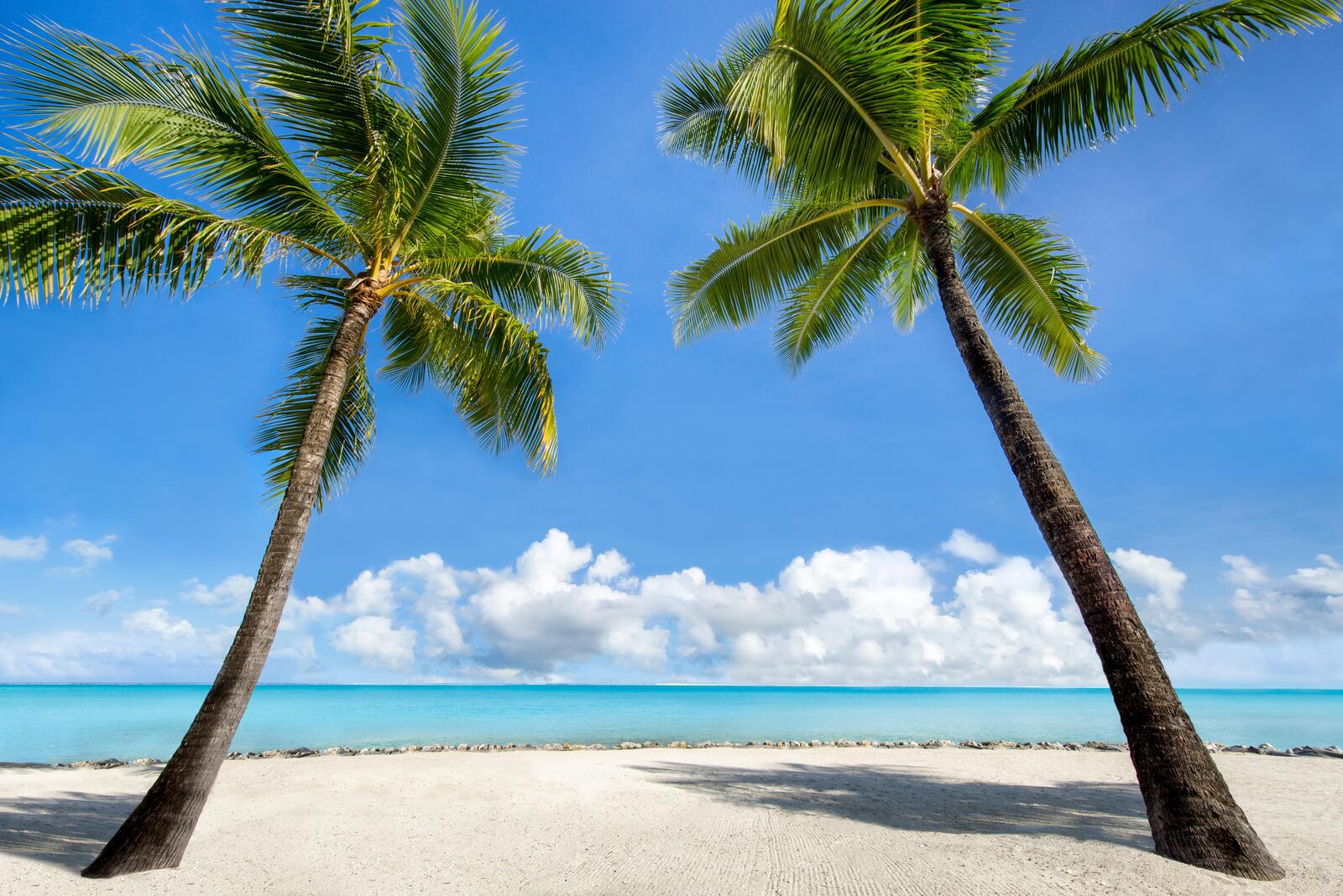 Обои пляж пальмы остров на рабочий стол