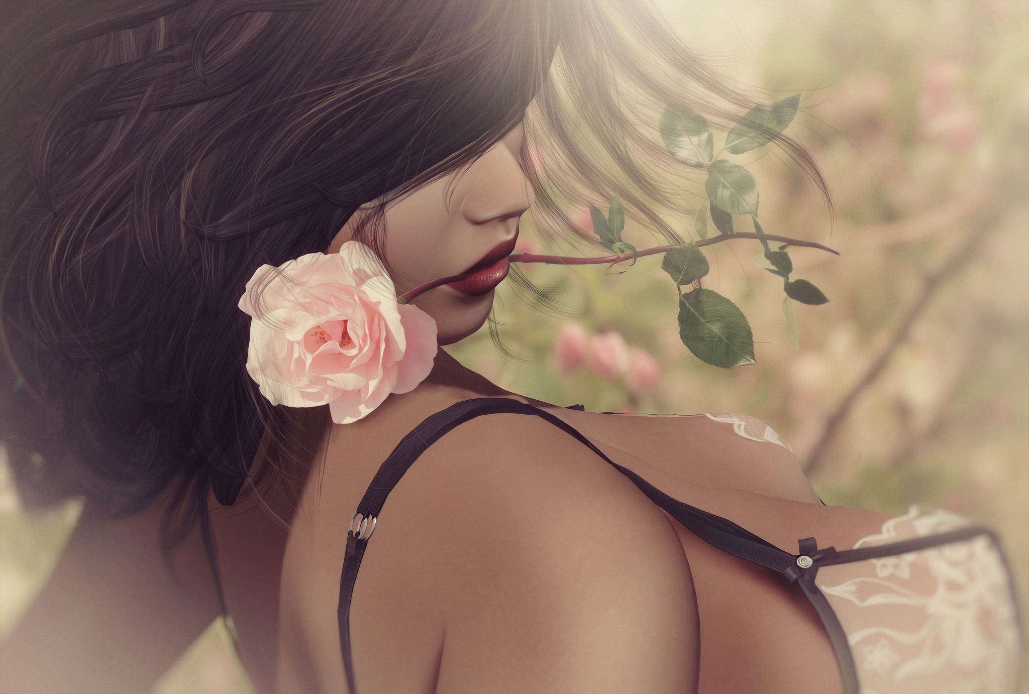 Фото бесплатно девушка, романтика, роза