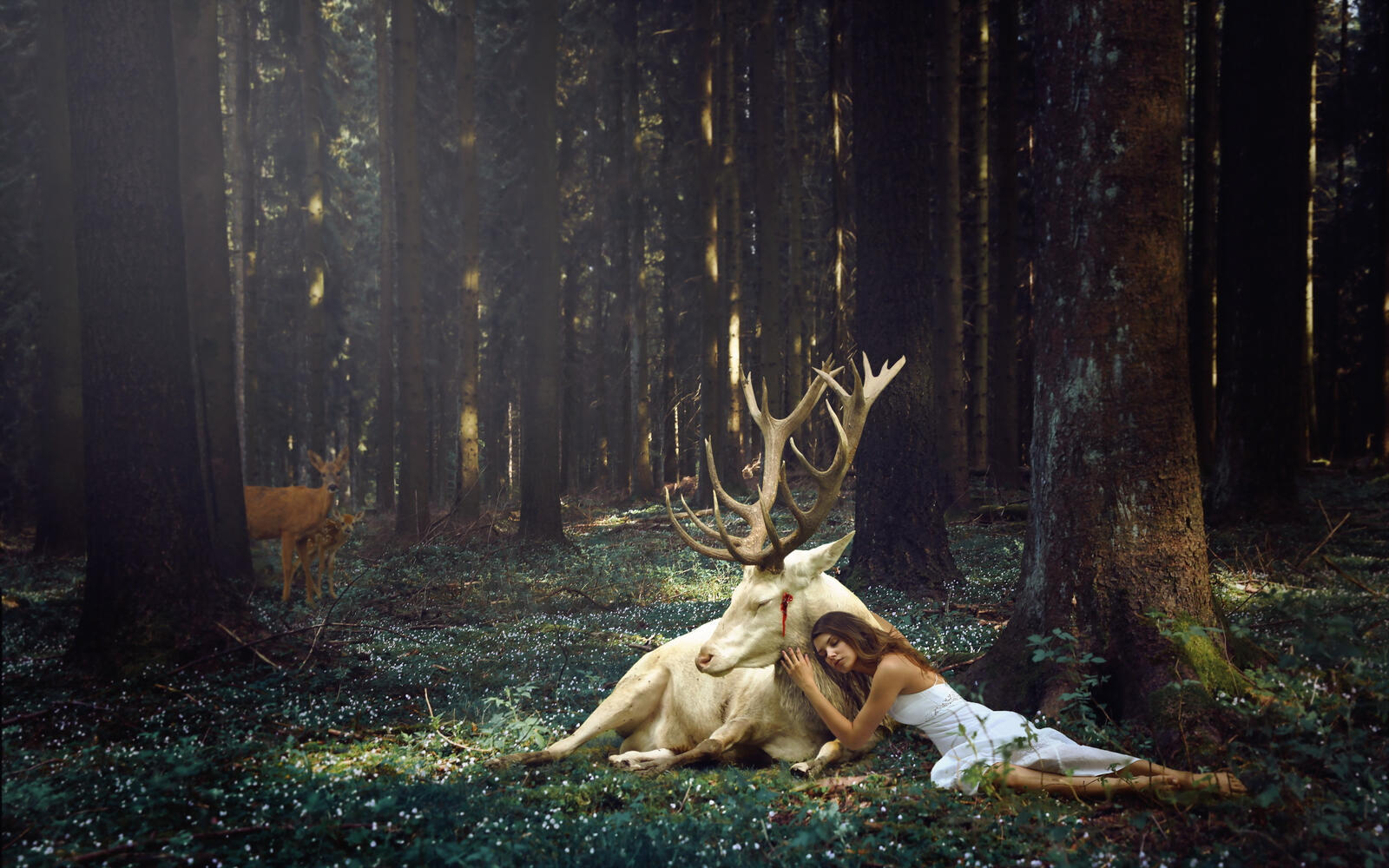 Wallpapers girl deer forest on the desktop