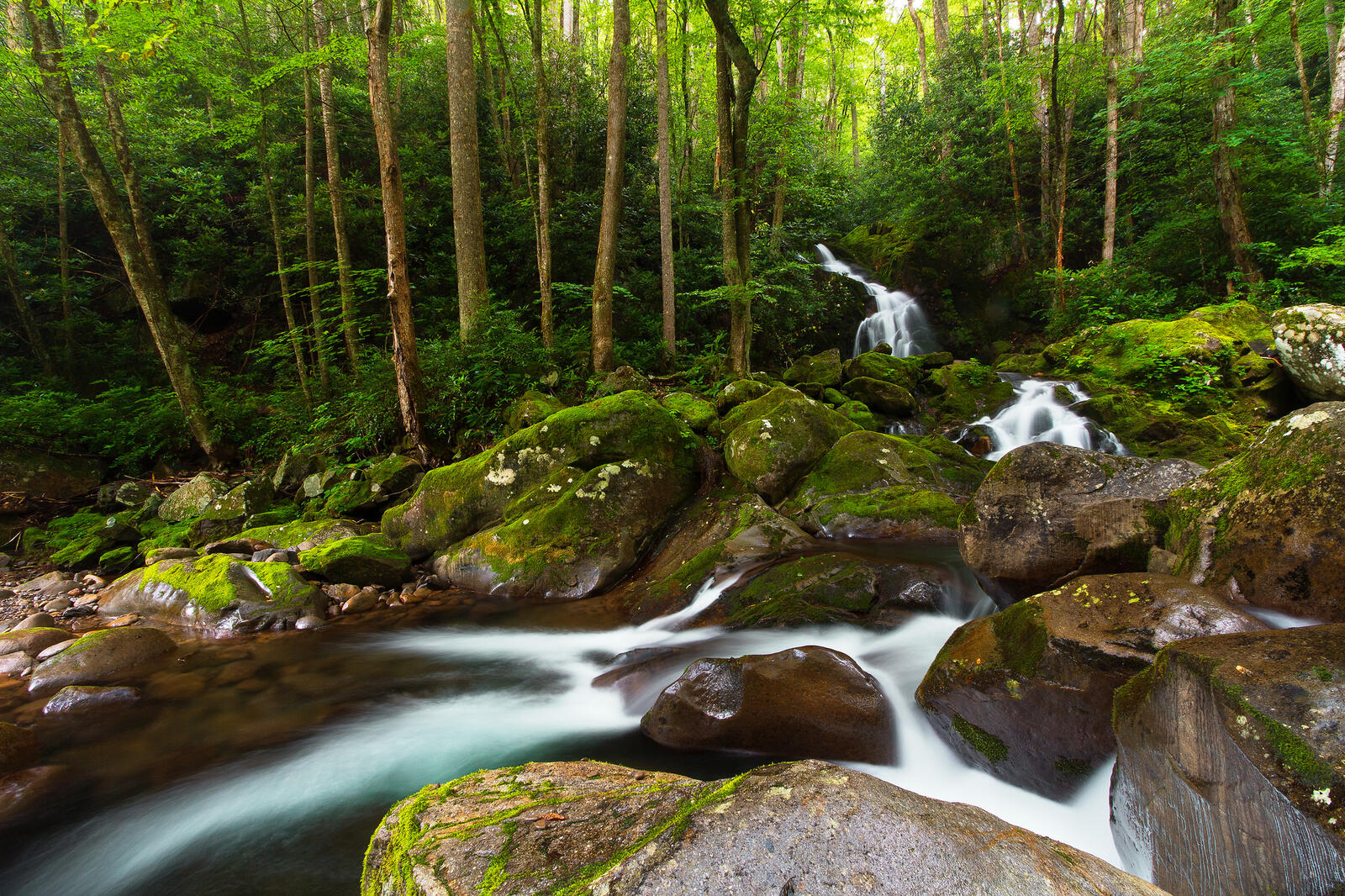 Wallpapers Great Smoky Mountains National Park river waterfall on the desktop
