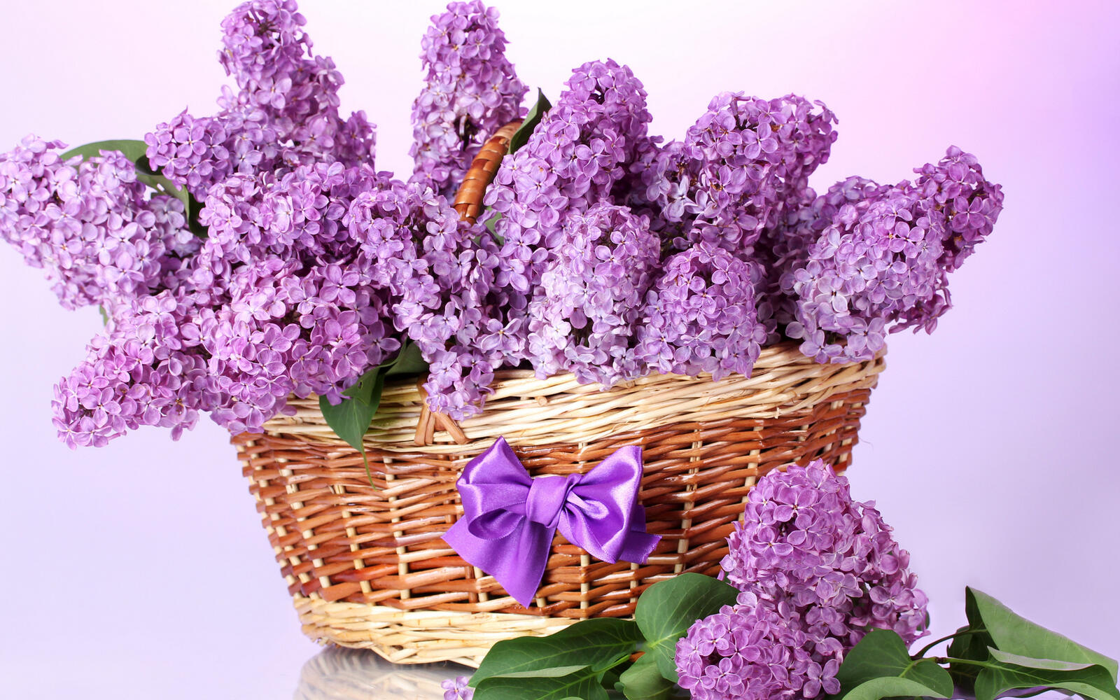 Wallpapers basket lilac bow on the desktop