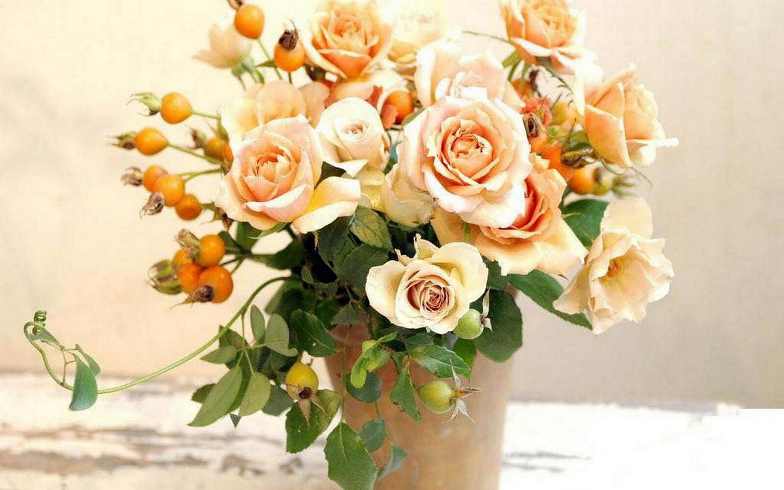 桌面上的壁纸壶 玫瑰 花瓣