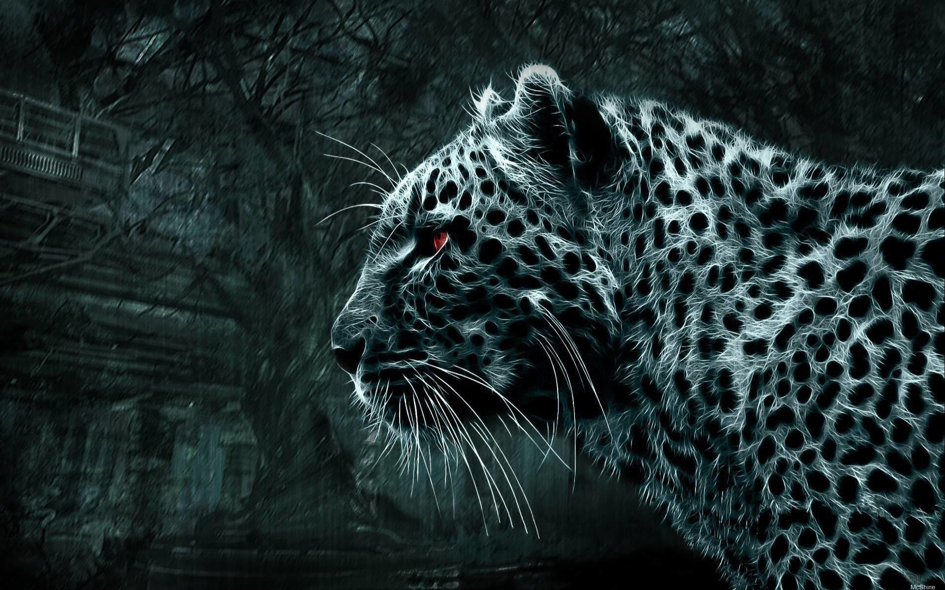 Wallpapers Leopard abandoned house forest on the desktop