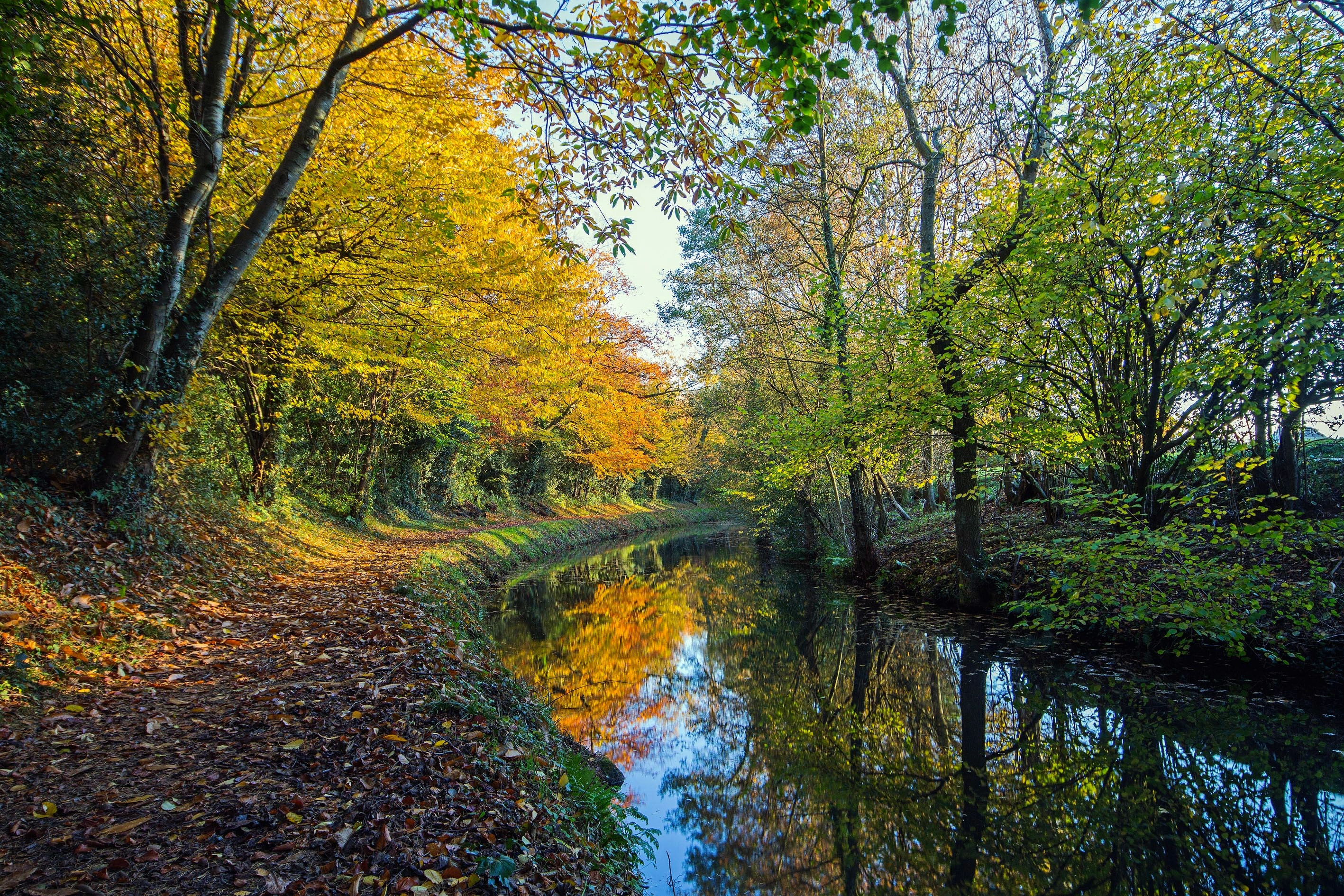 Wallpapers autumn canal forest on the desktop