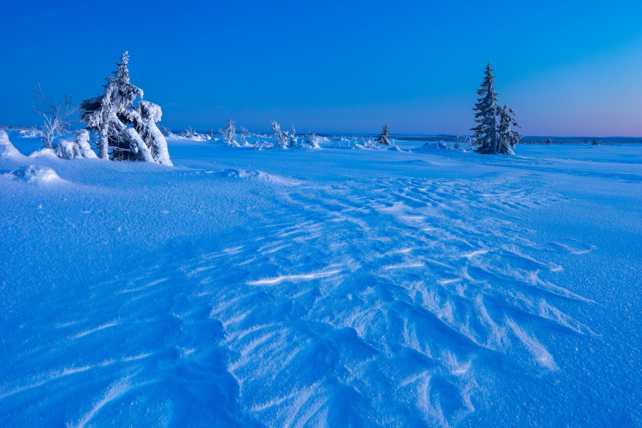 Фото бесплатно деревья в снегу, сугробы, снег на деревьях
