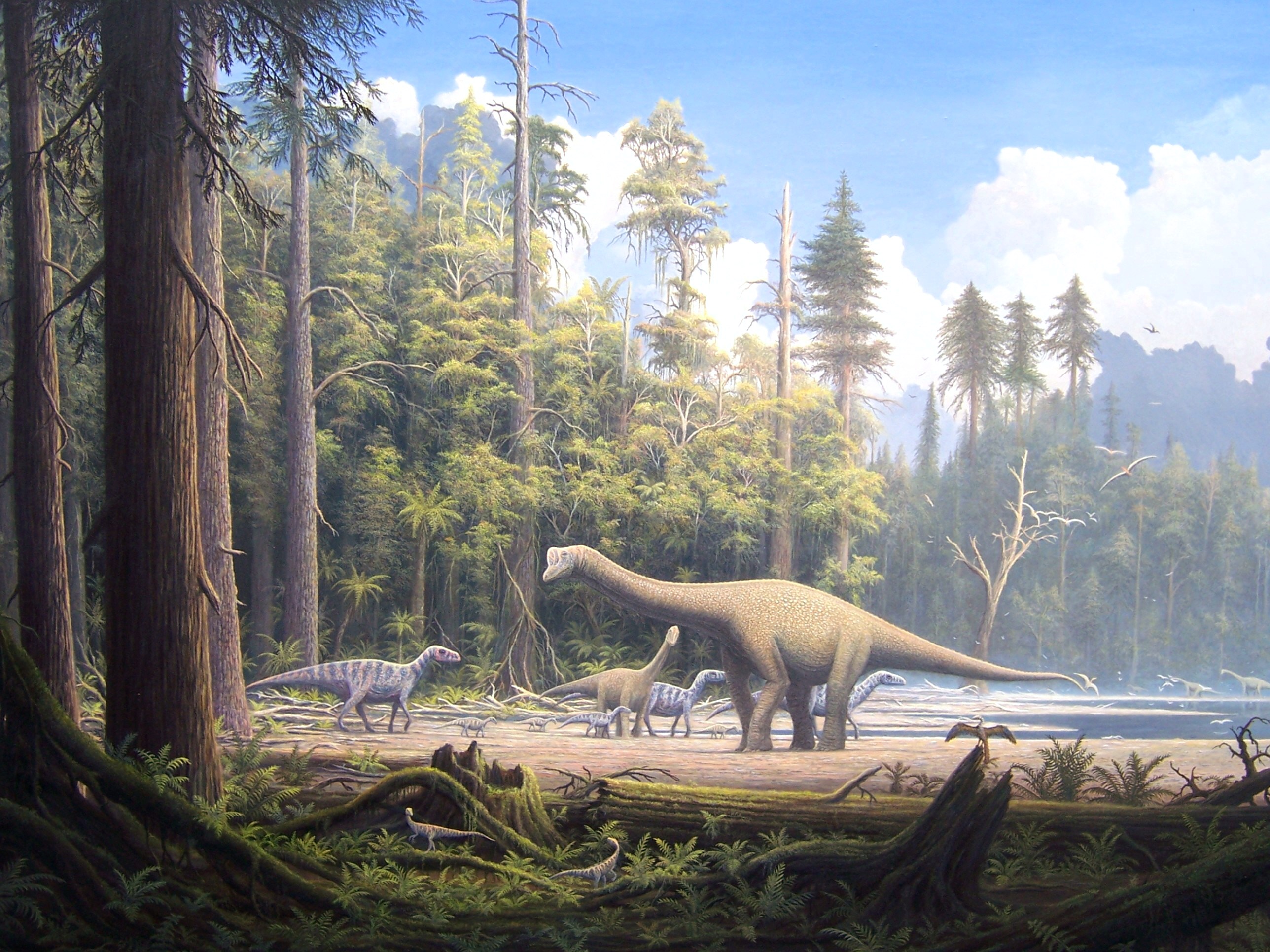 Wallpapers animals dinosaur dinosaurs on the desktop