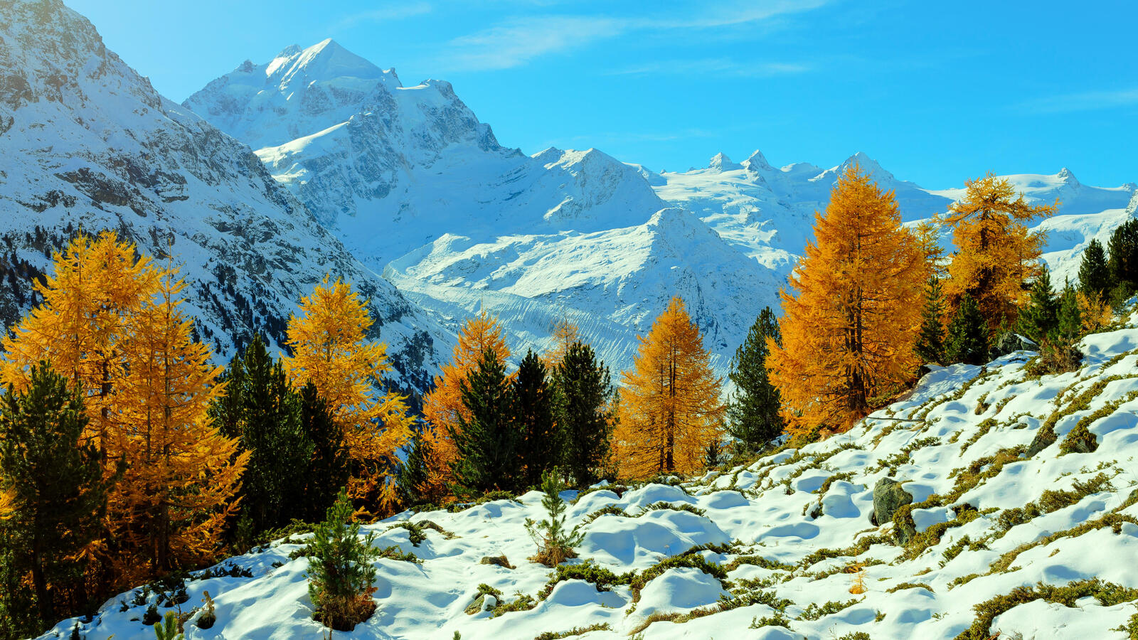 Обои Швейцария осень деревья на рабочий стол