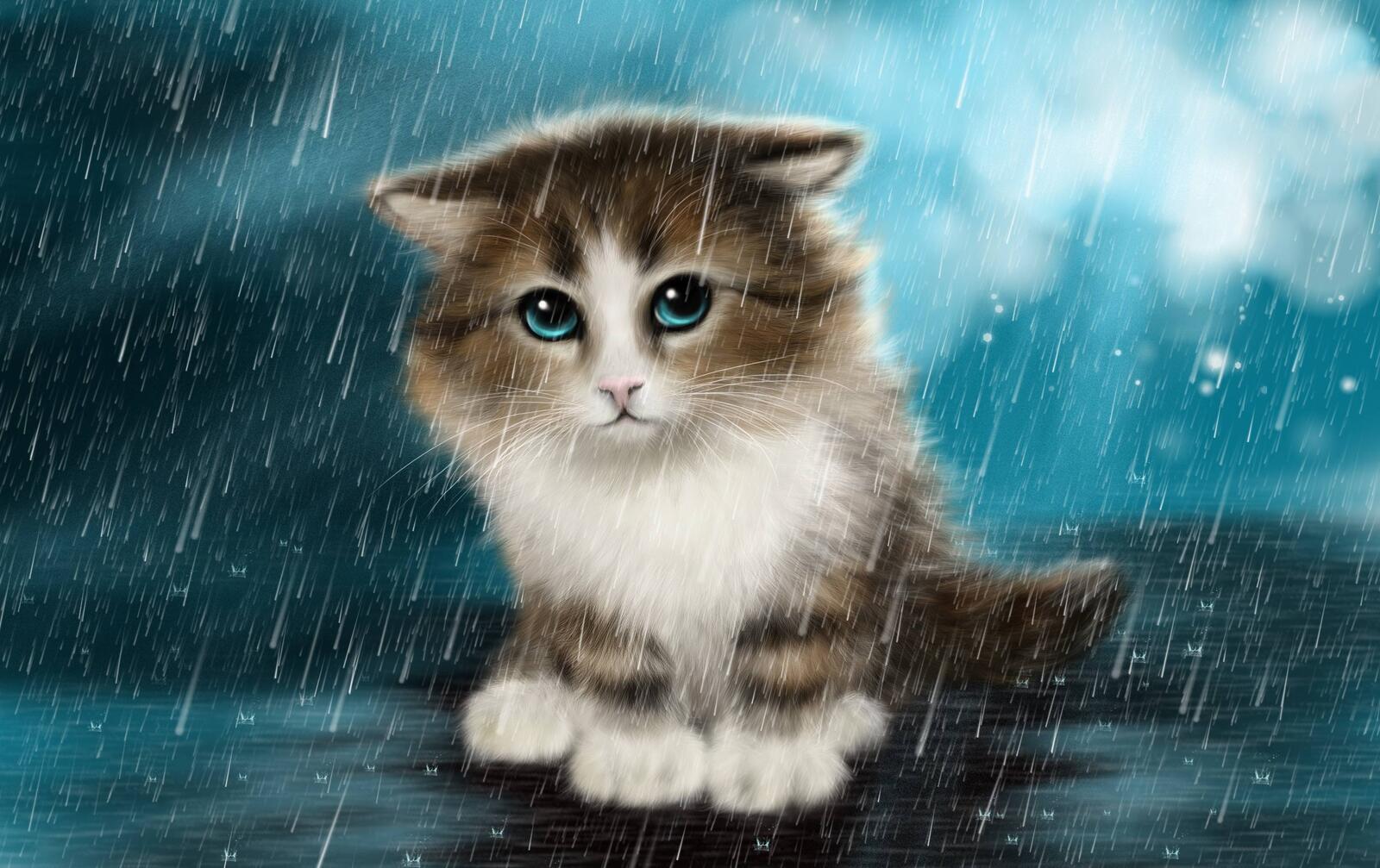Wallpapers kitten in the rain art rendering on the desktop
