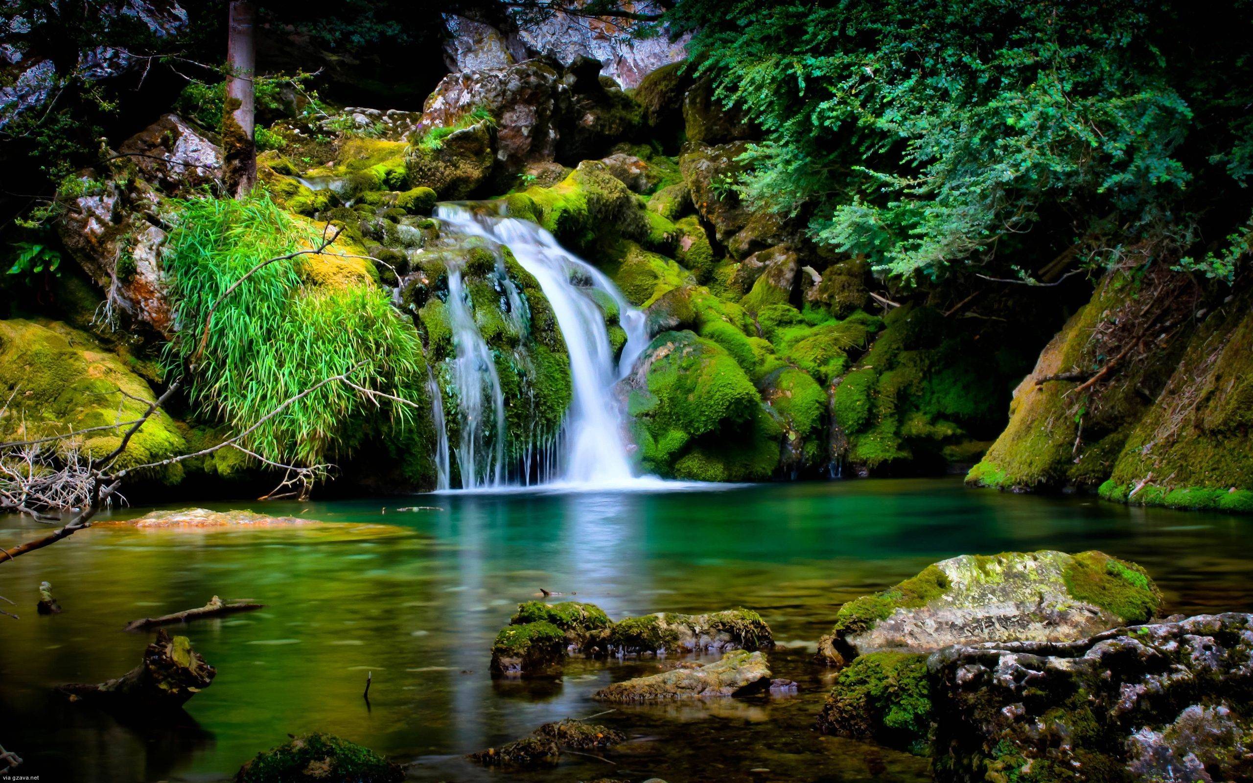 природа водопад деревья листья вода река загрузить