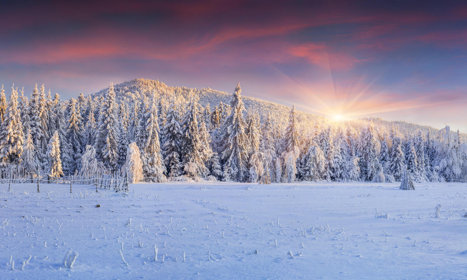 Wallpapers snow landscapes winter forest on the desktop
