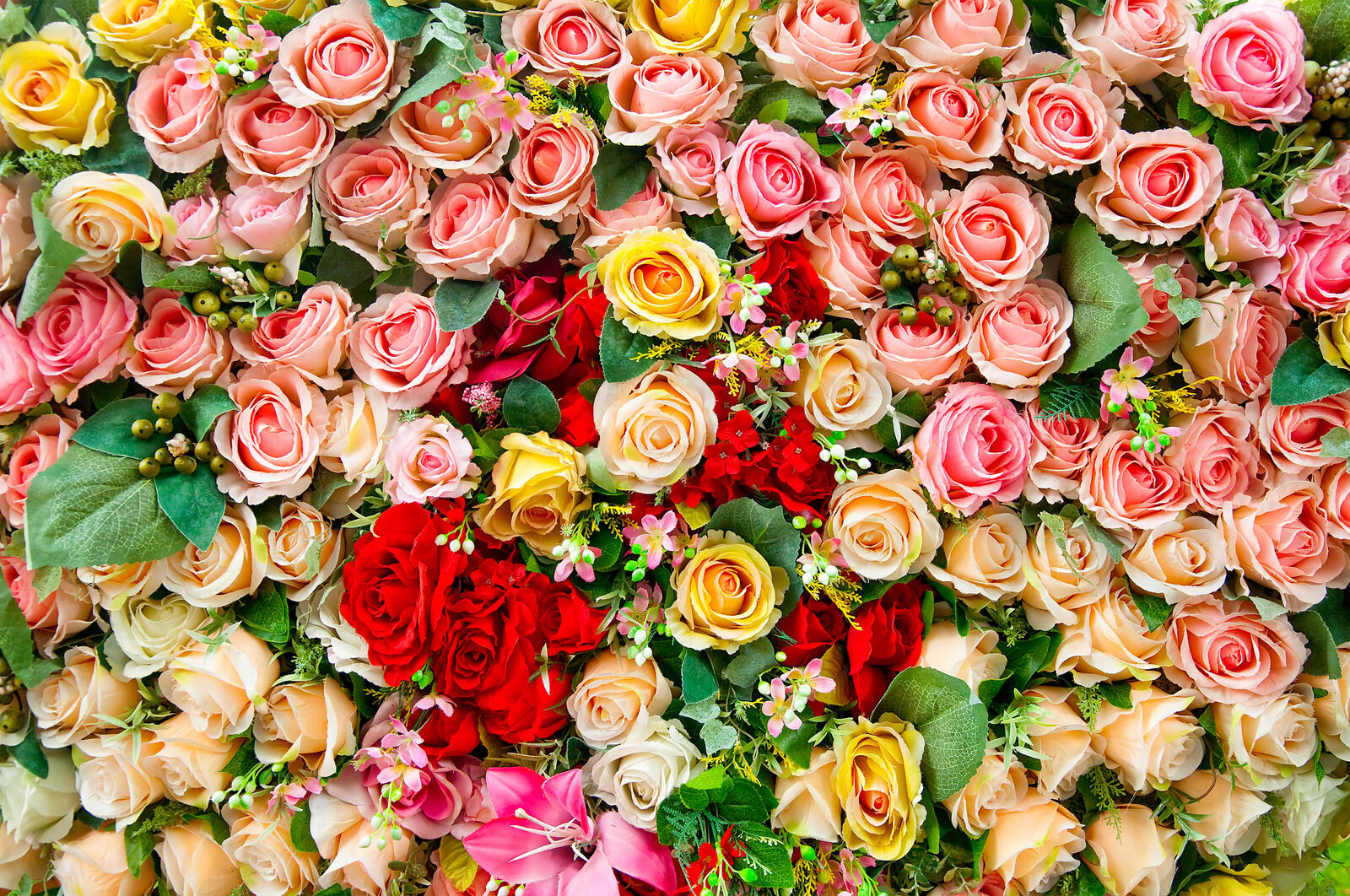 Обои розы цветы цветочный фон на рабочий стол