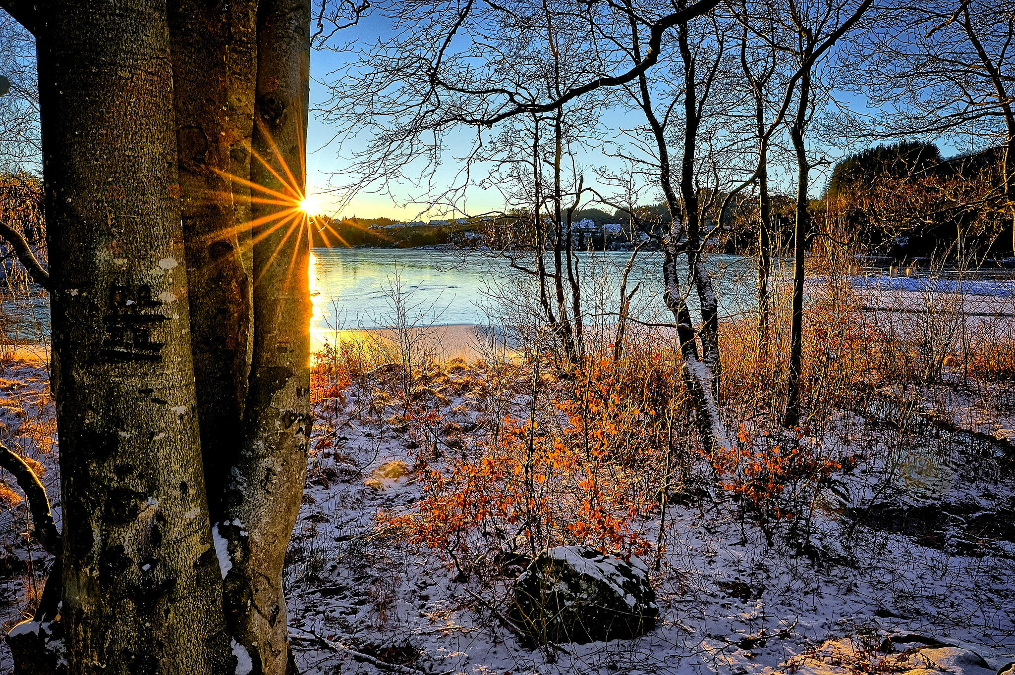 免费照片夕阳下河畔秋林的第一场雪