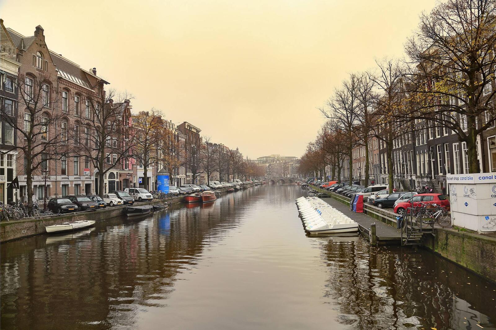 Обои Амстердам осень столица и крупнейший город нидерландов на рабочий стол