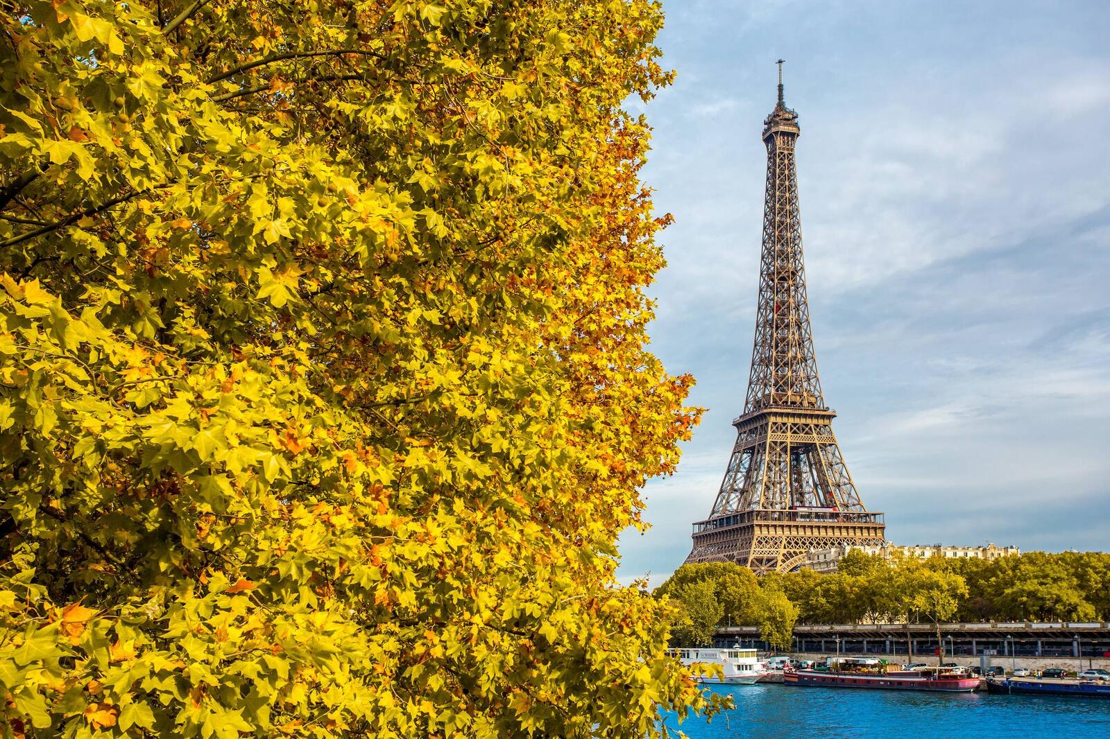 Обои Эйфелева Башня Париж желтые листья на рабочий стол