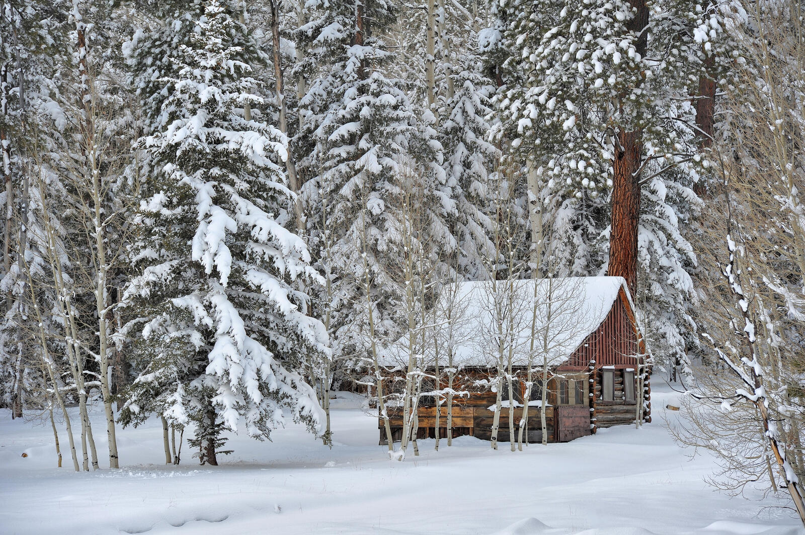 Обои небольшой домик зима пейзаж на рабочий стол