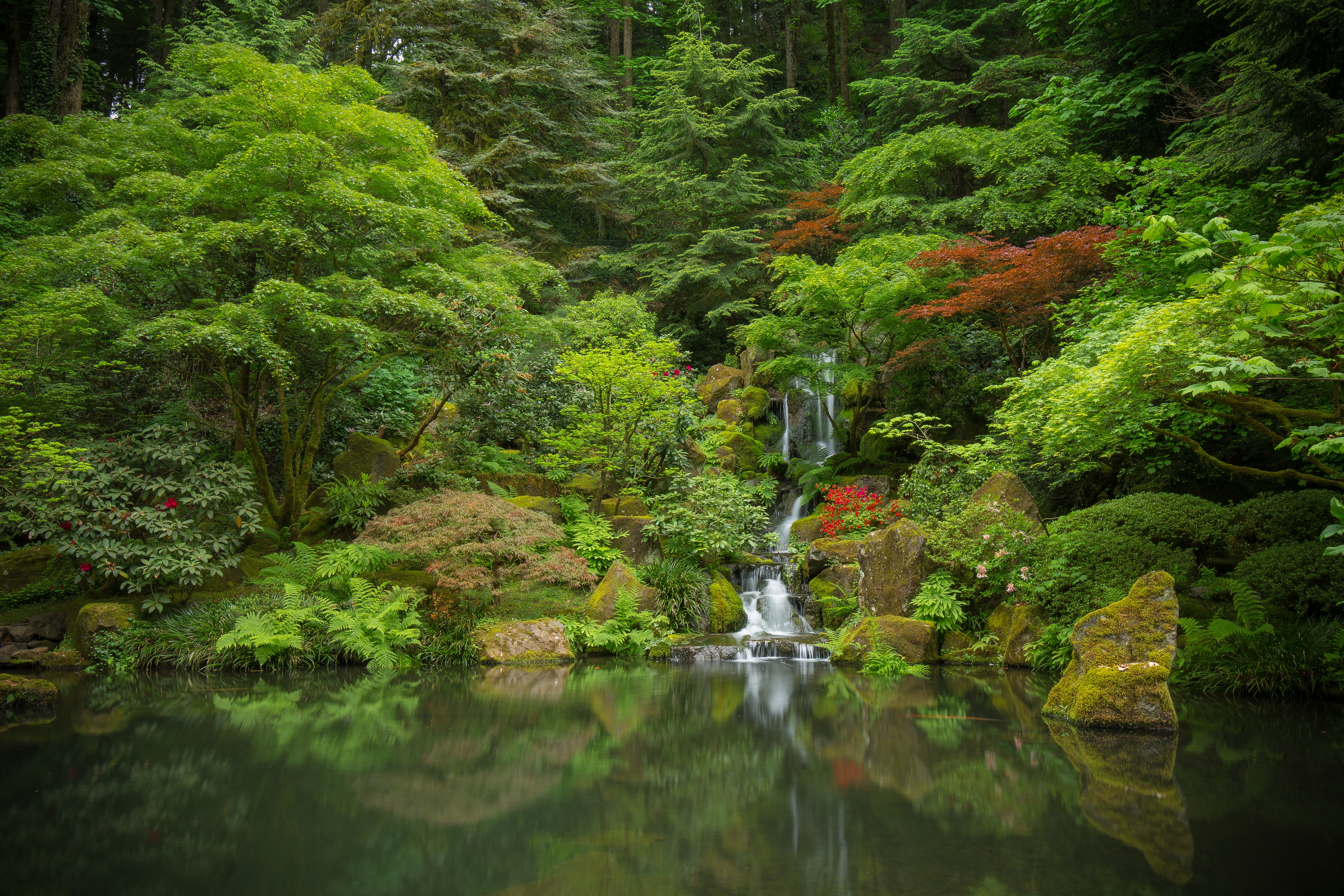 Обои Японский сад Портленд Орегон на рабочий стол