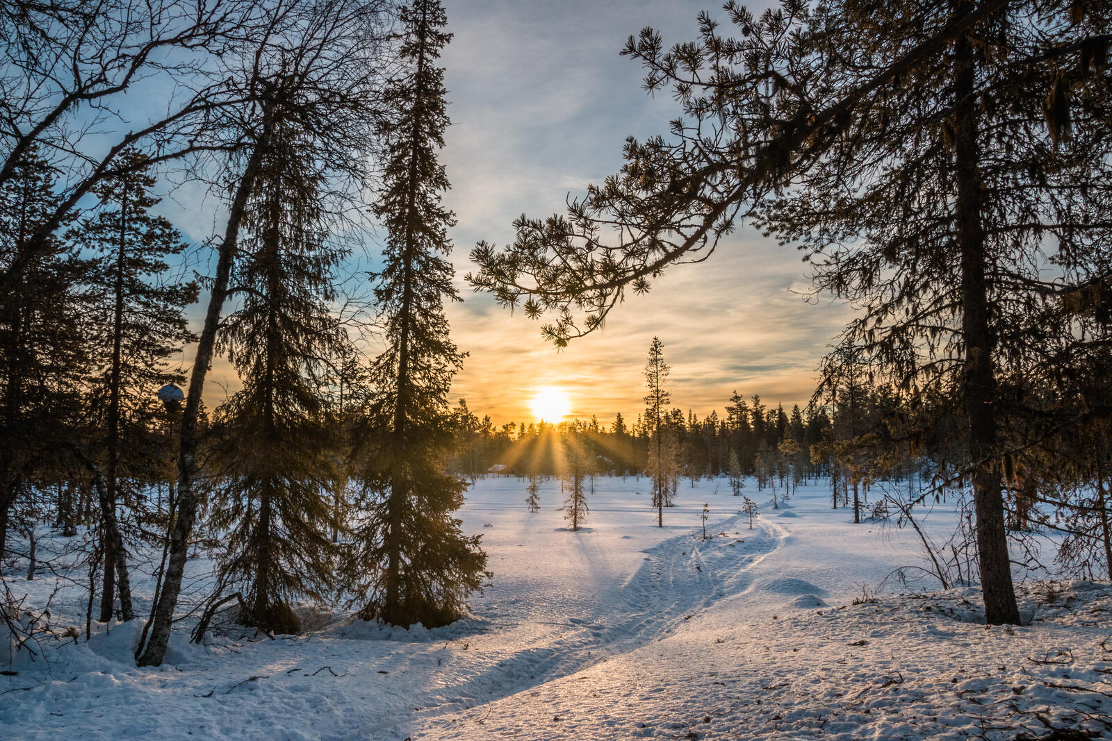 Обои Лапландия Финляндия Восход зима на рабочий стол