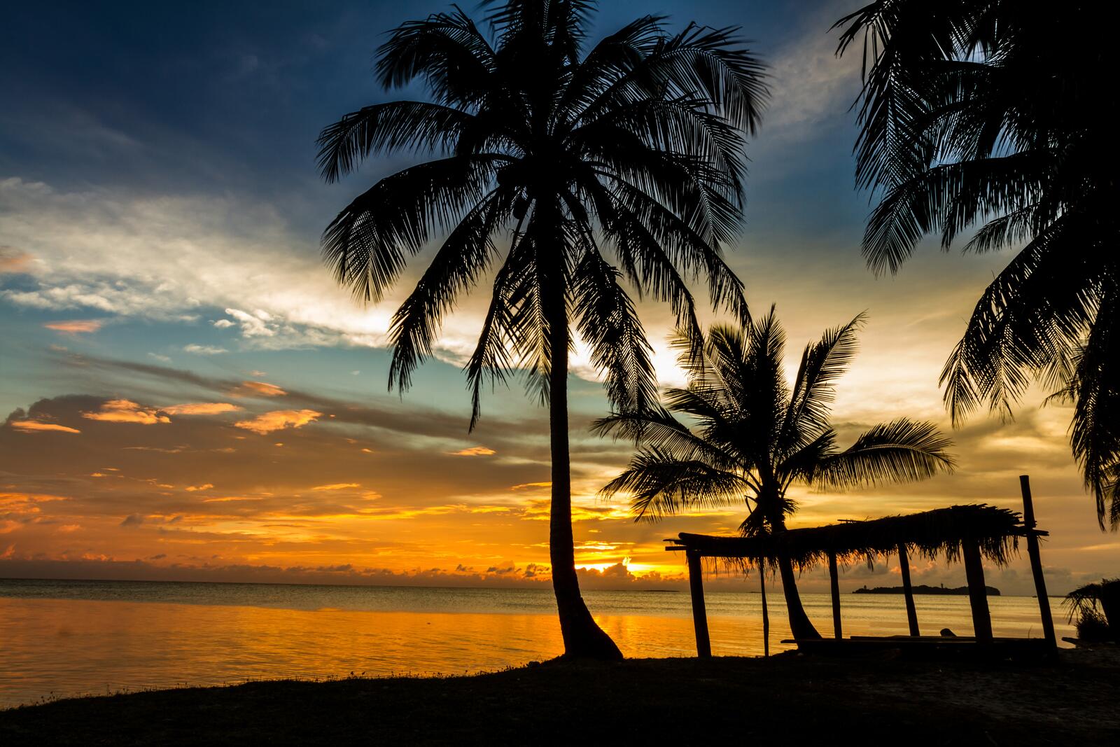 Обои вечерний пляж пальмы закат на рабочий стол