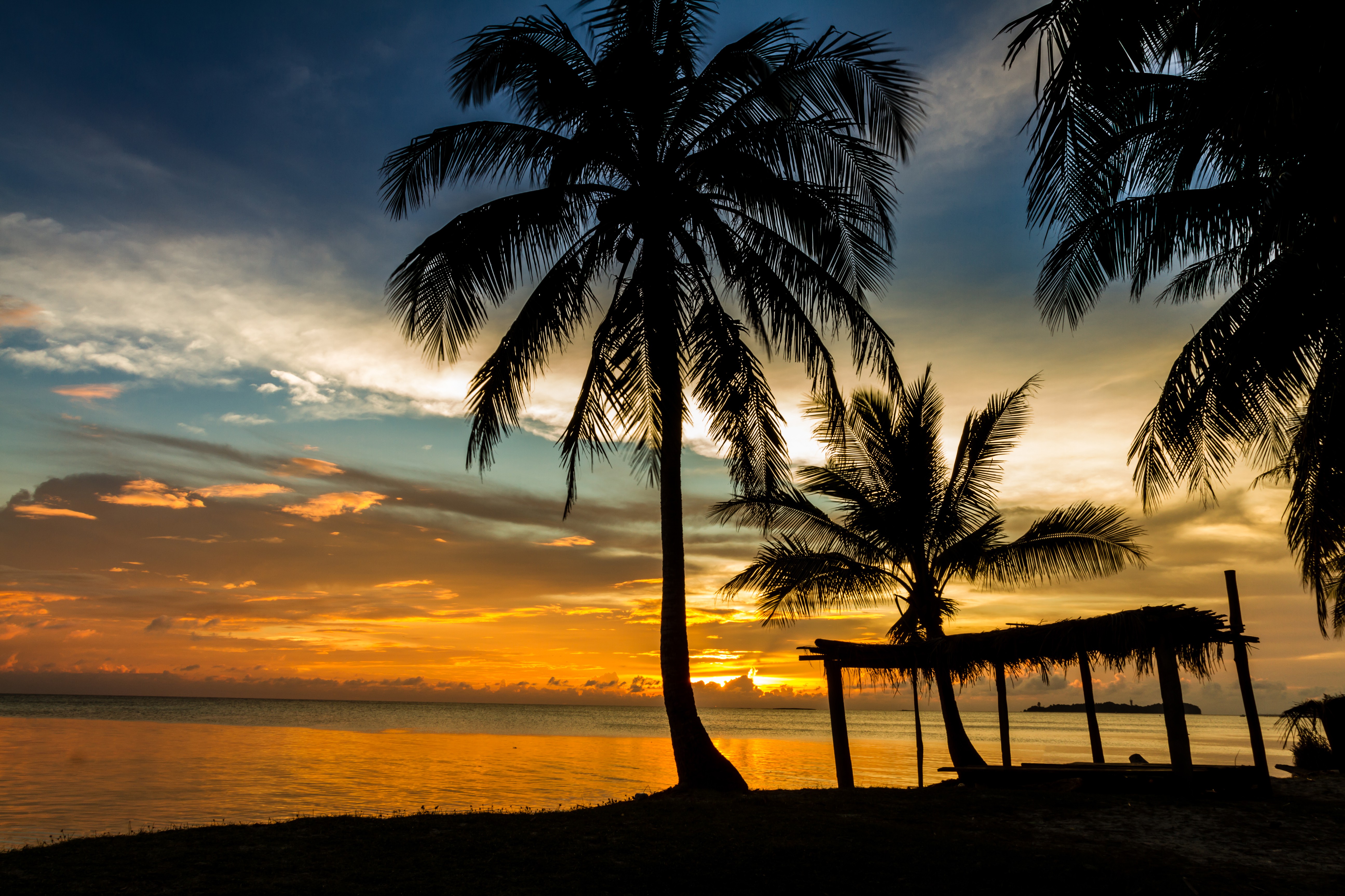Wallpapers evening beach palm trees sunset on the desktop