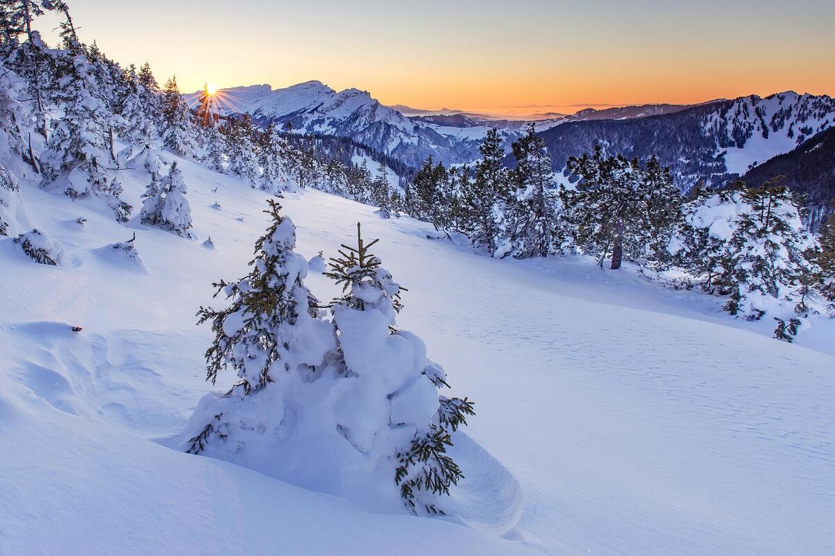 Бесплатно закат, фото зима на телефон