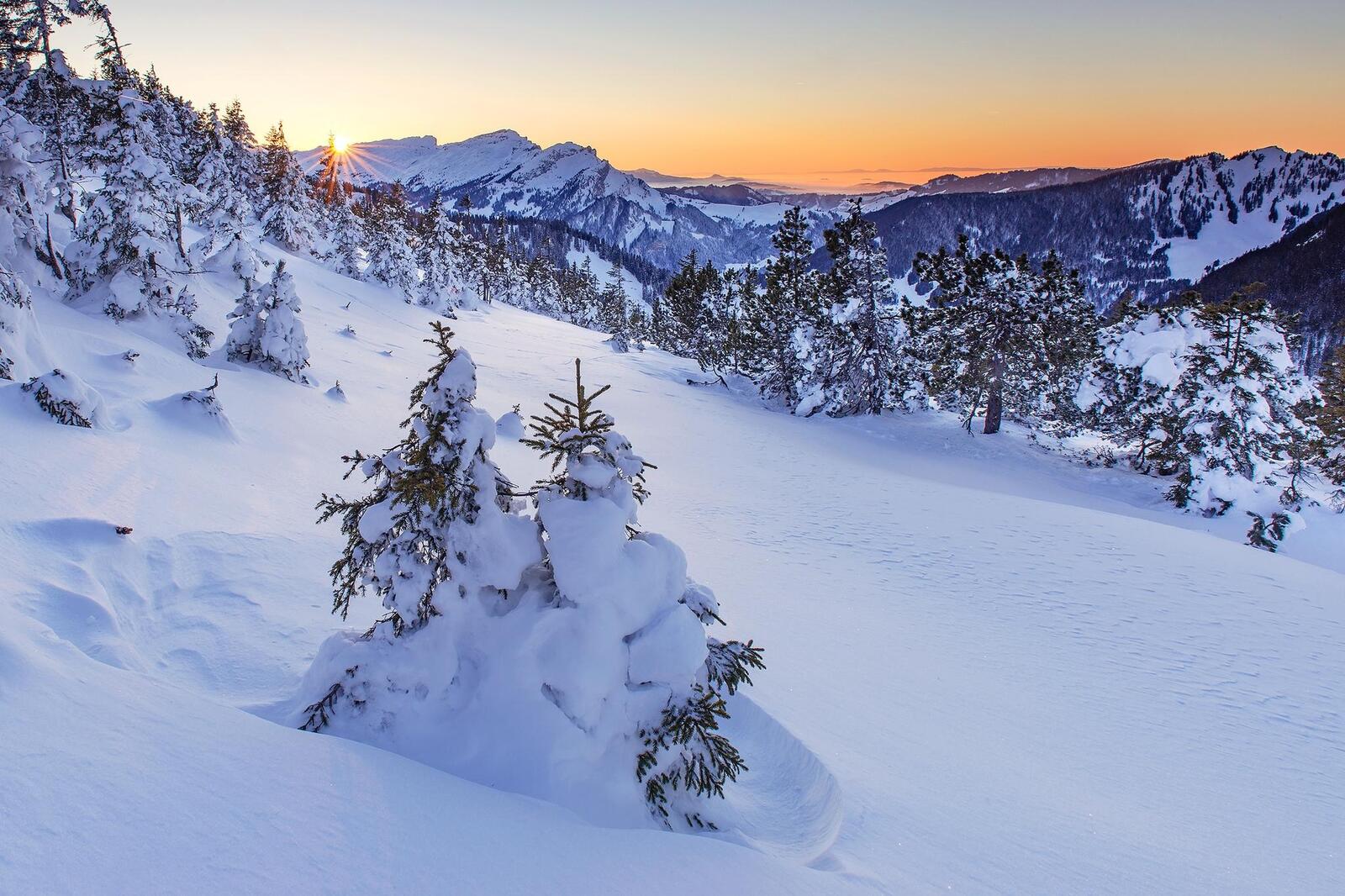 免费照片免费手机拍摄日落和冬季照片