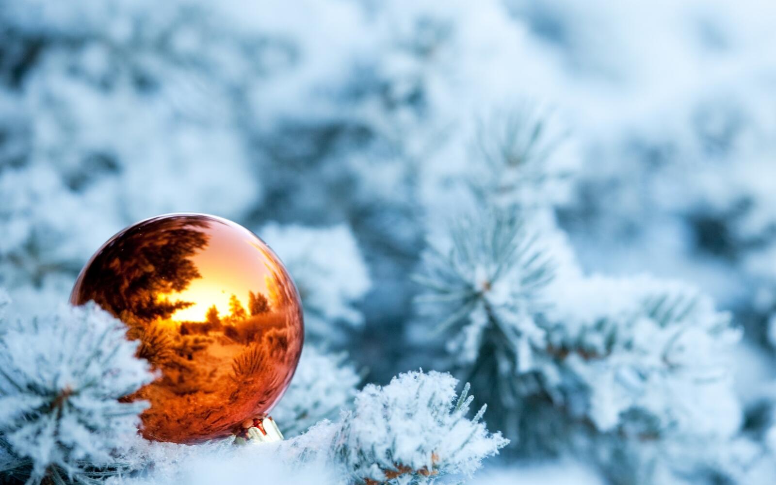 Обои Оранжевый новогодний шар снежные ветки снег на рабочий стол