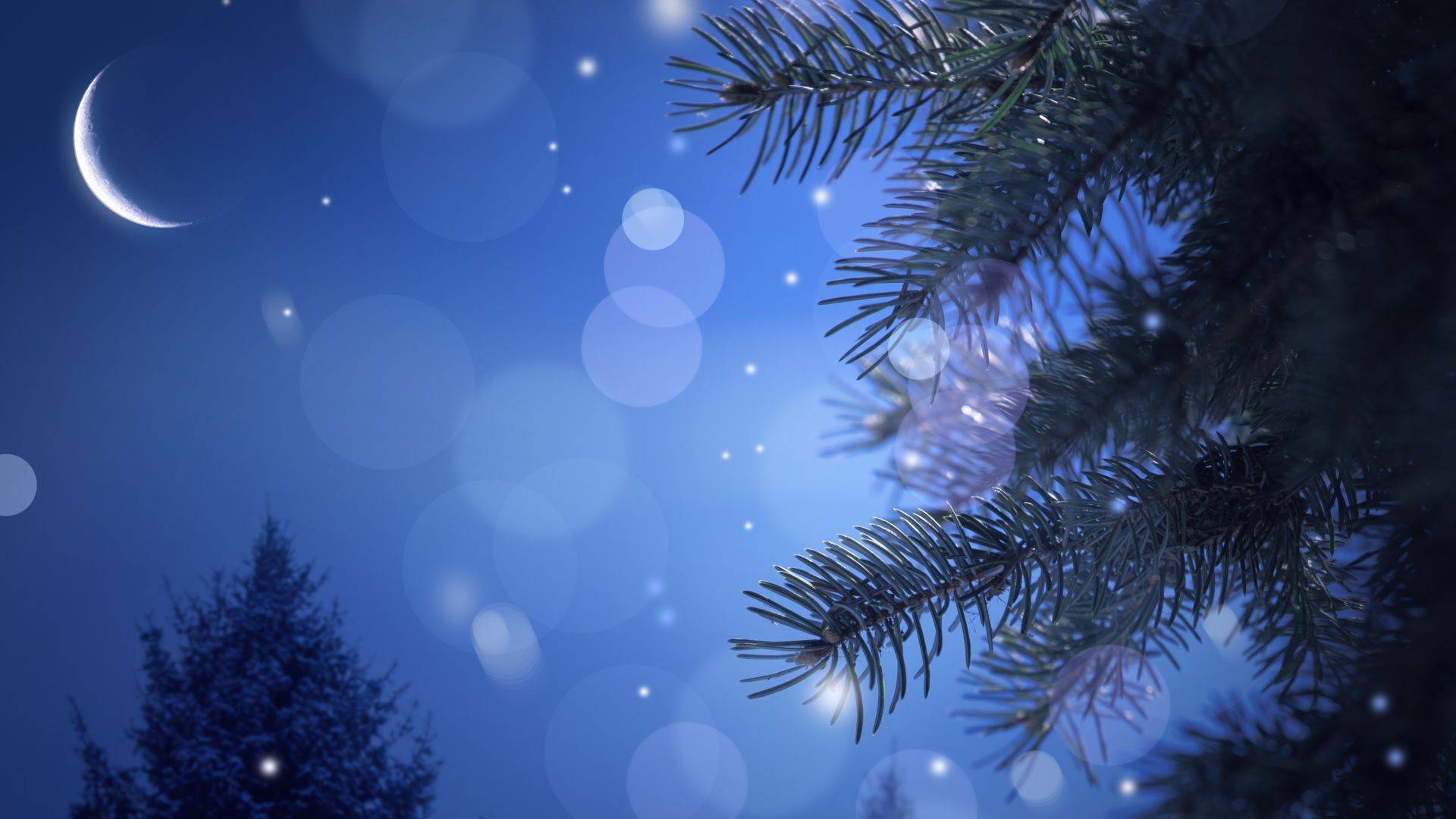 Wallpapers Christmas tree and moon highlights branches on the desktop
