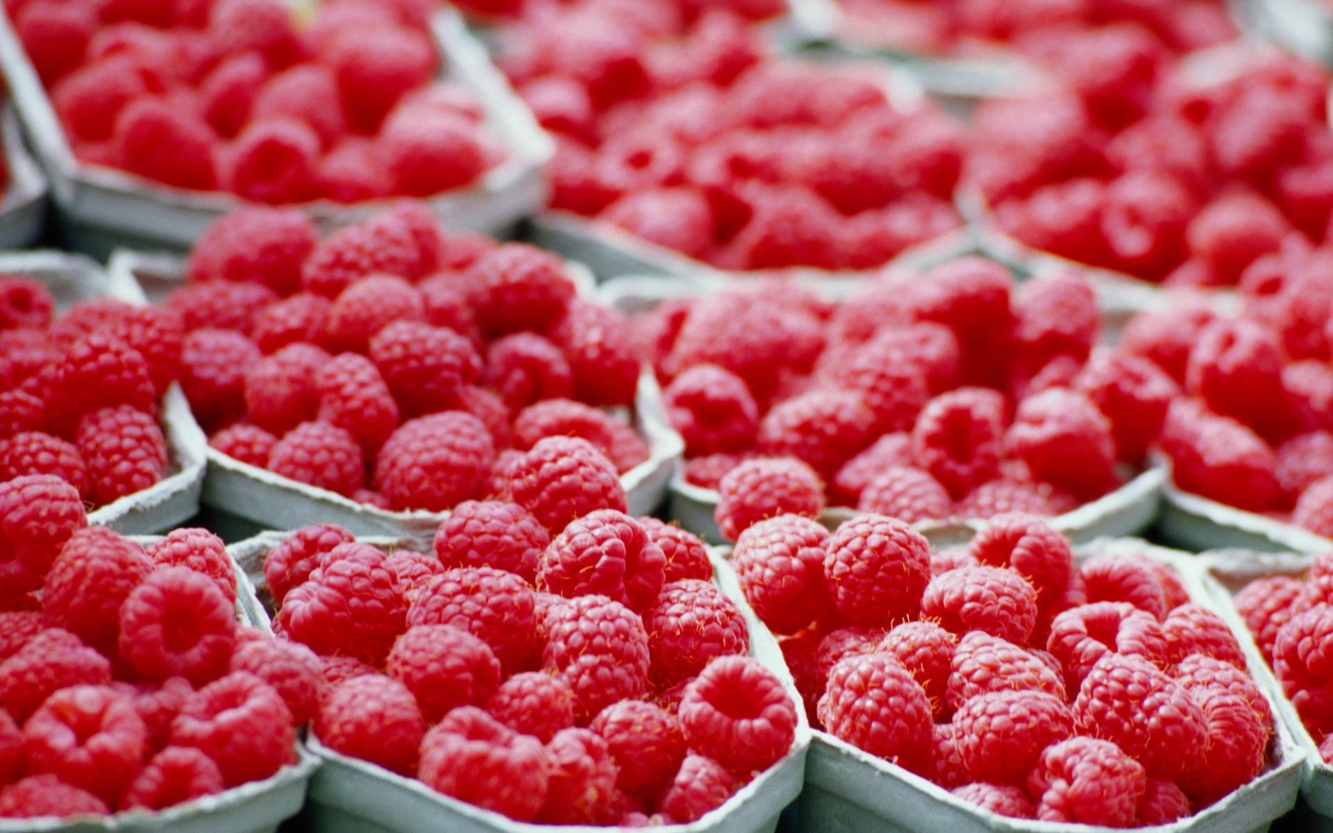 Wallpapers cells berry raspberry on the desktop