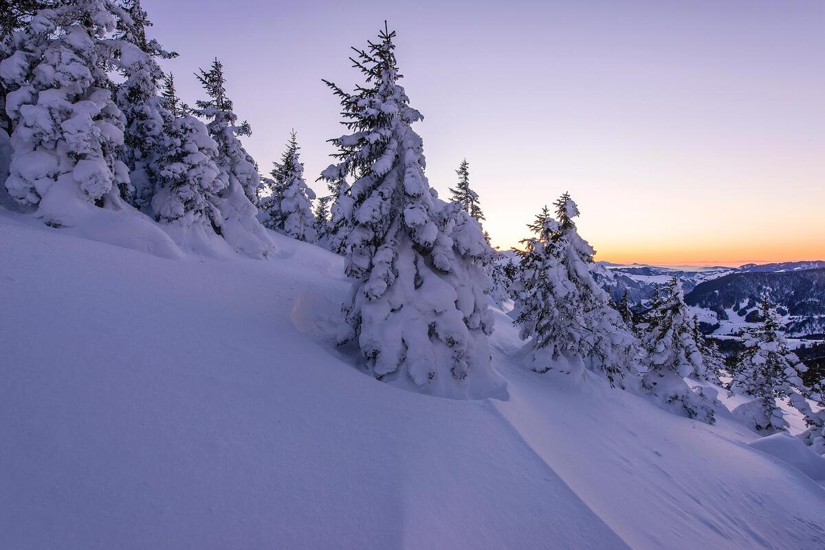 Download a beautiful screen saver about winter, sunset