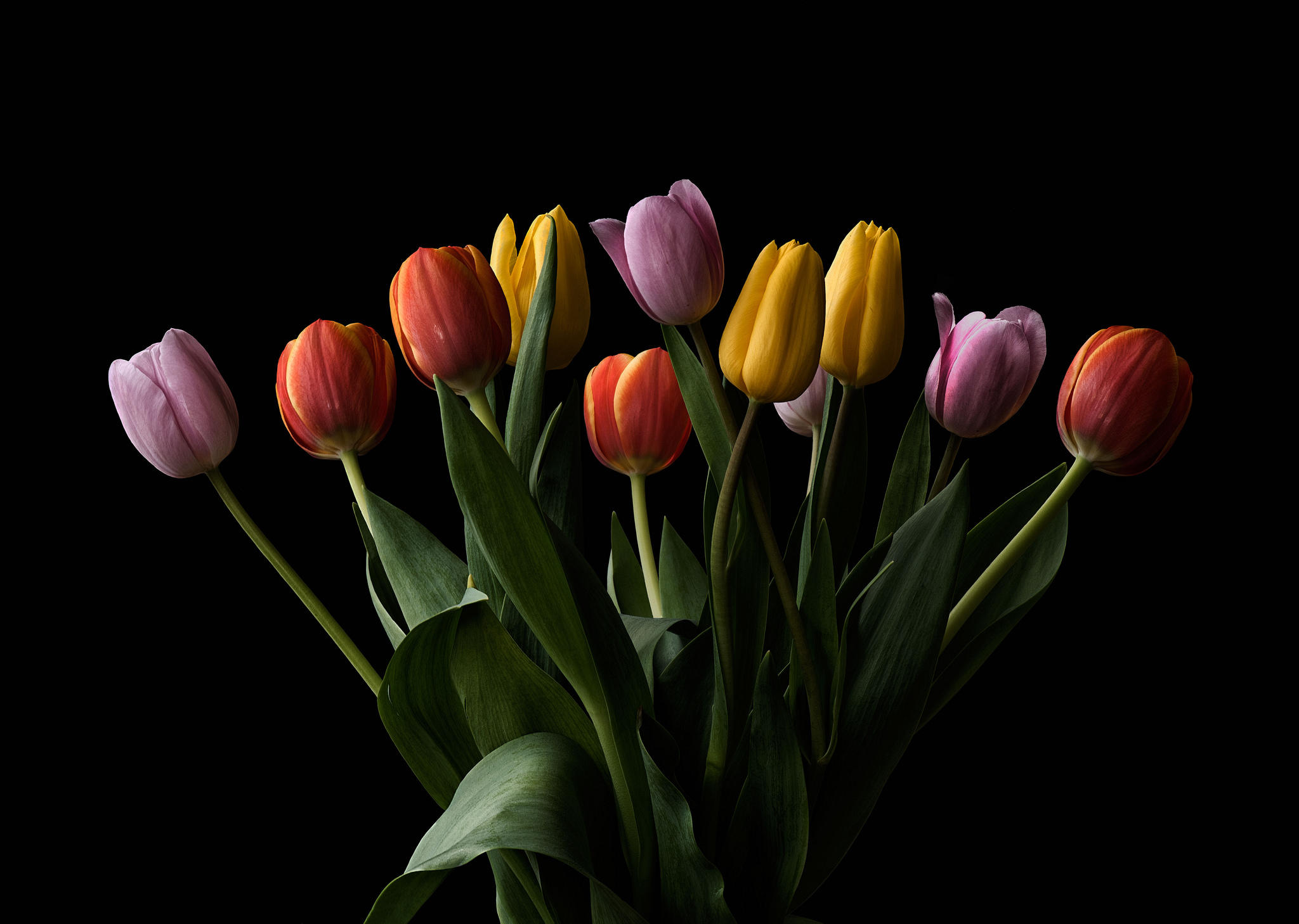 Фото бесплатно тюльпаны, красочный букет, букет
