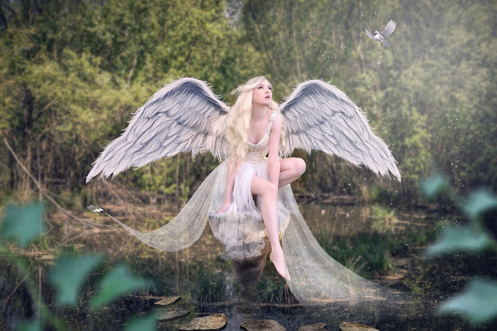 Wallpapers fantasy girl angel model on the desktop