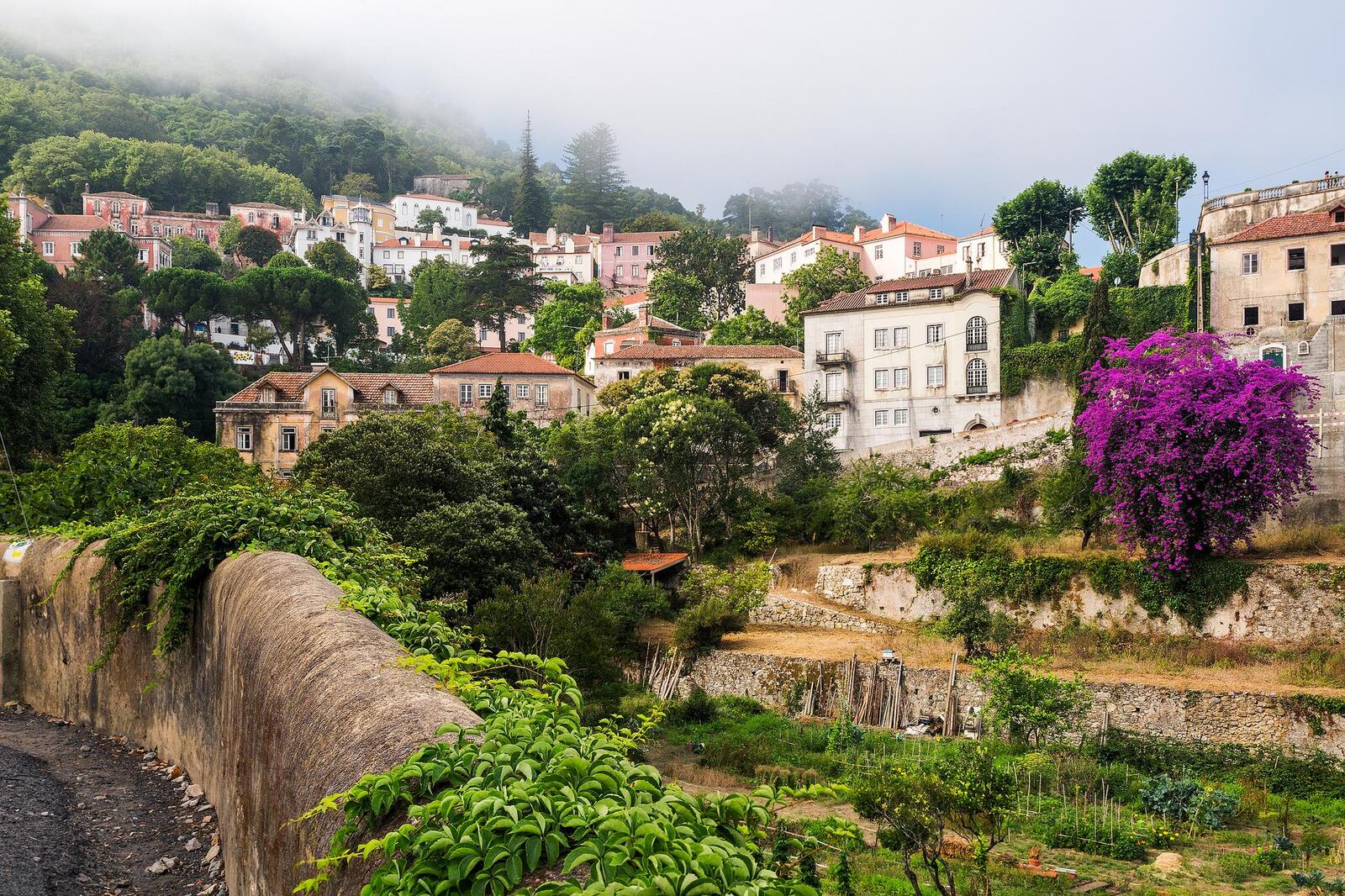 桌面上的壁纸辛特拉是大里斯本地区的一个城市。 葡萄牙 城市