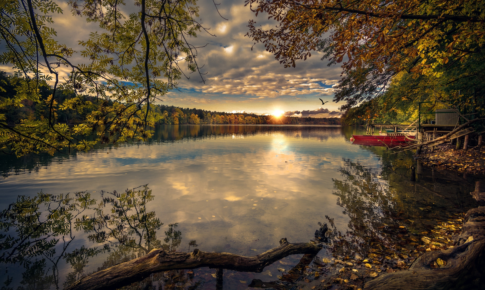 Озеро в осень на закате без смс
