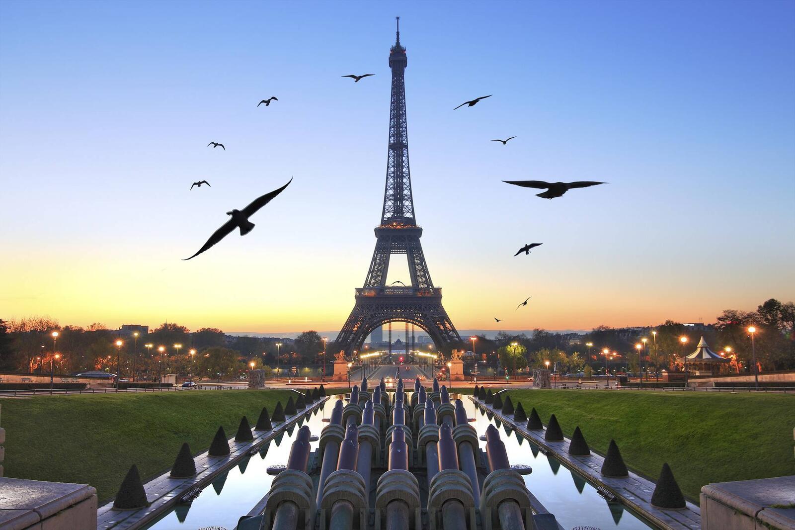 Обои Эйфелева Башня птицы Париж на рабочий стол