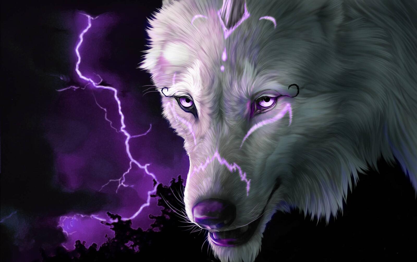 Wallpapers wolf view lightning on the desktop