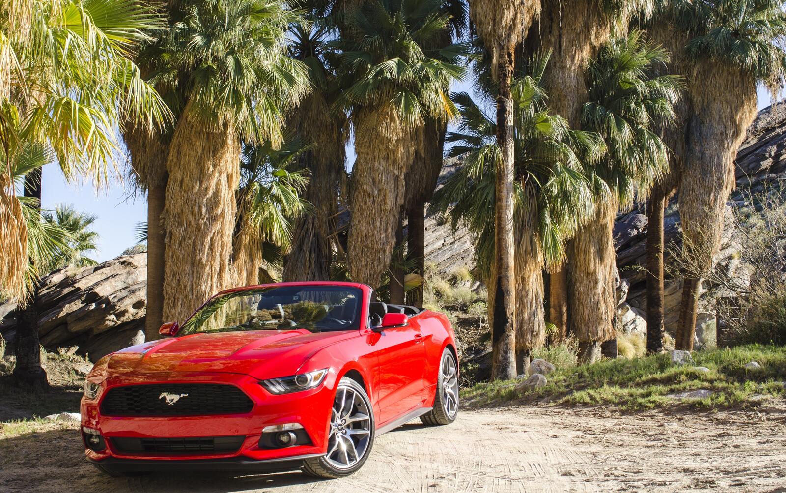 Обои Ford Mustang Convertible красный машины на рабочий стол