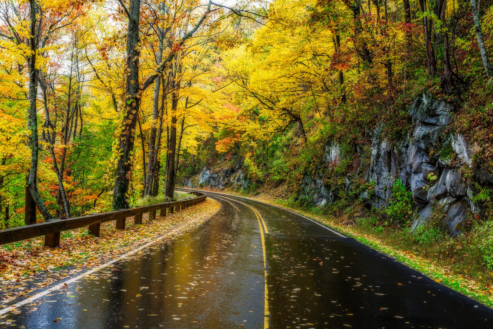 Wallpapers Great Smoky National Park Tennessee Autumn on the desktop