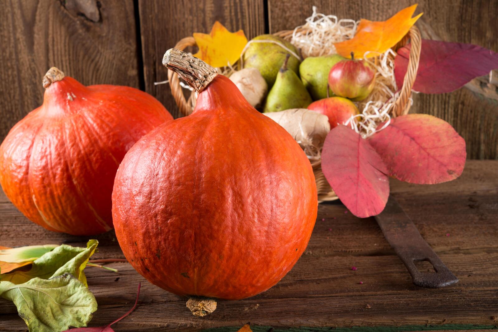 Обои осенние листья осенняя композиция из овощей и фруктов еда на рабочий стол